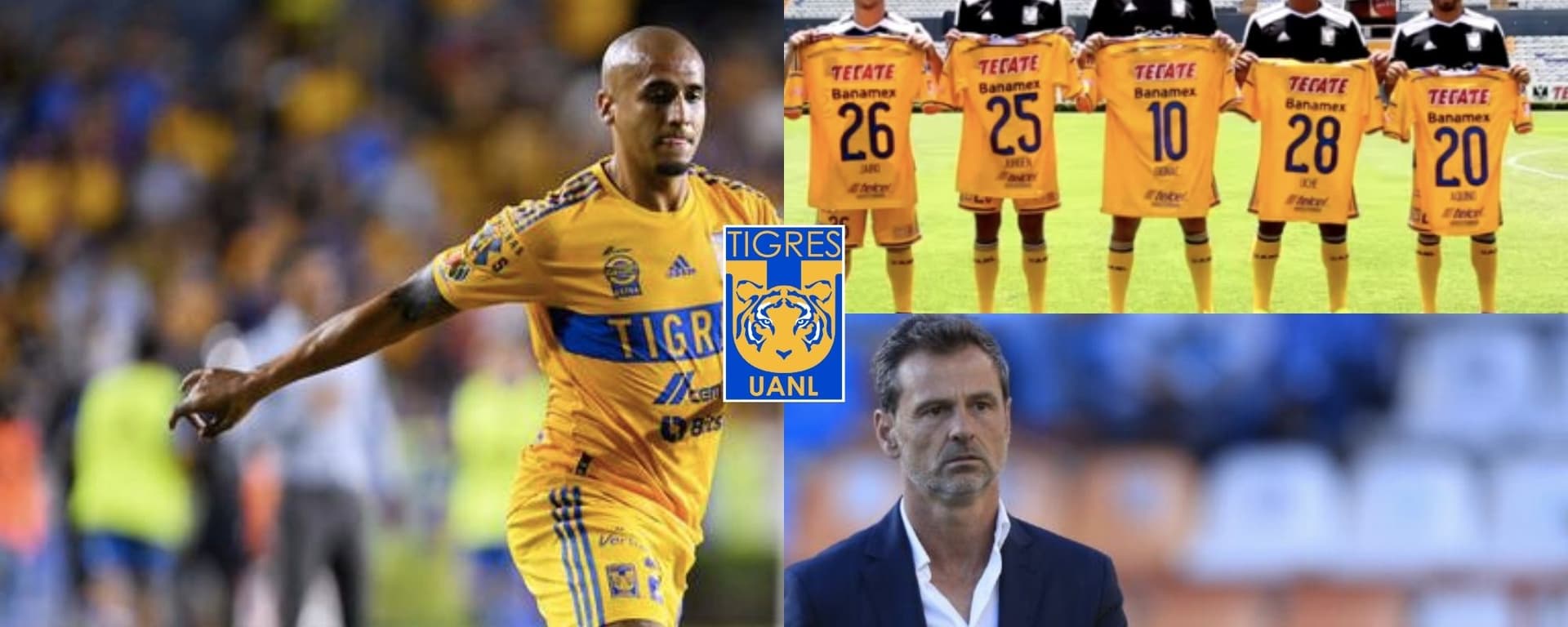 Apenas Luis Rodríguez salió de Tigres y ya se destapa quién lo reemplazará y entrena con el cuadro felino en la pretemporada.