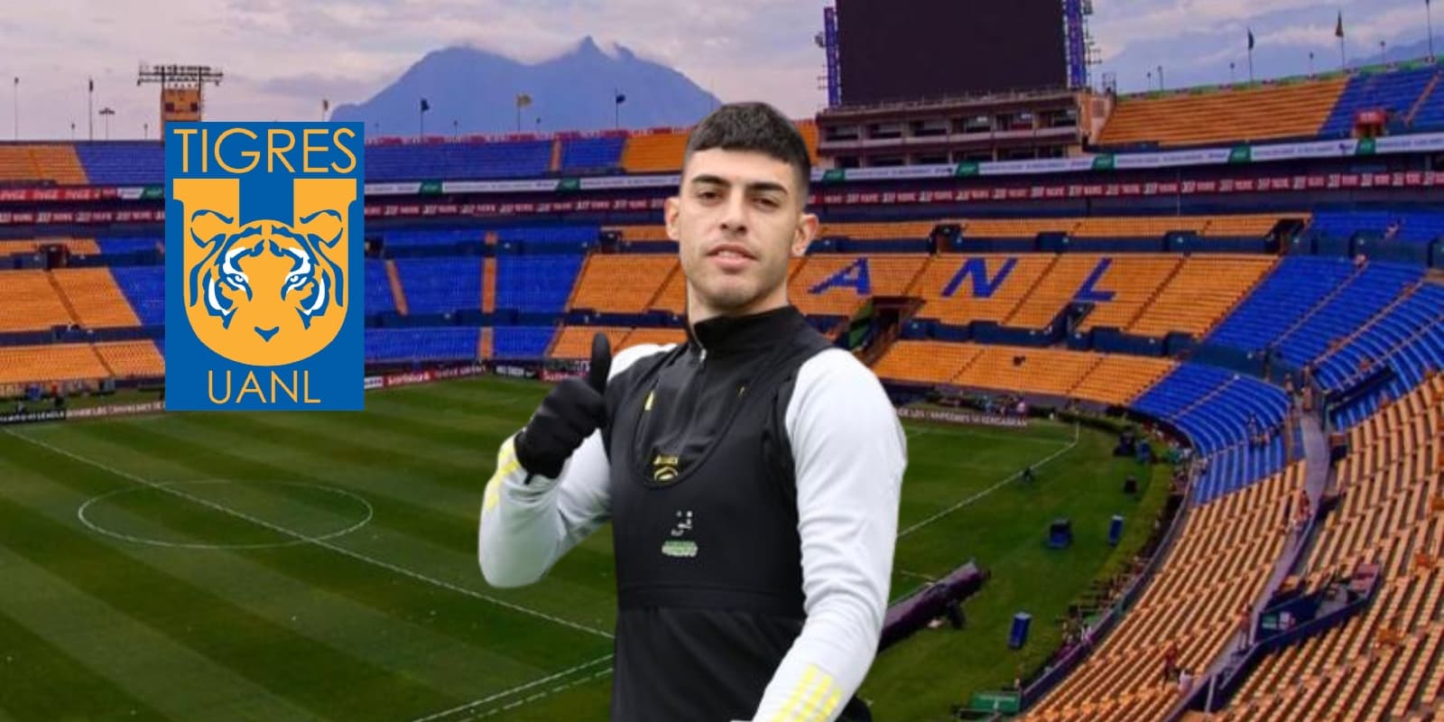 Brunetta en Tigres