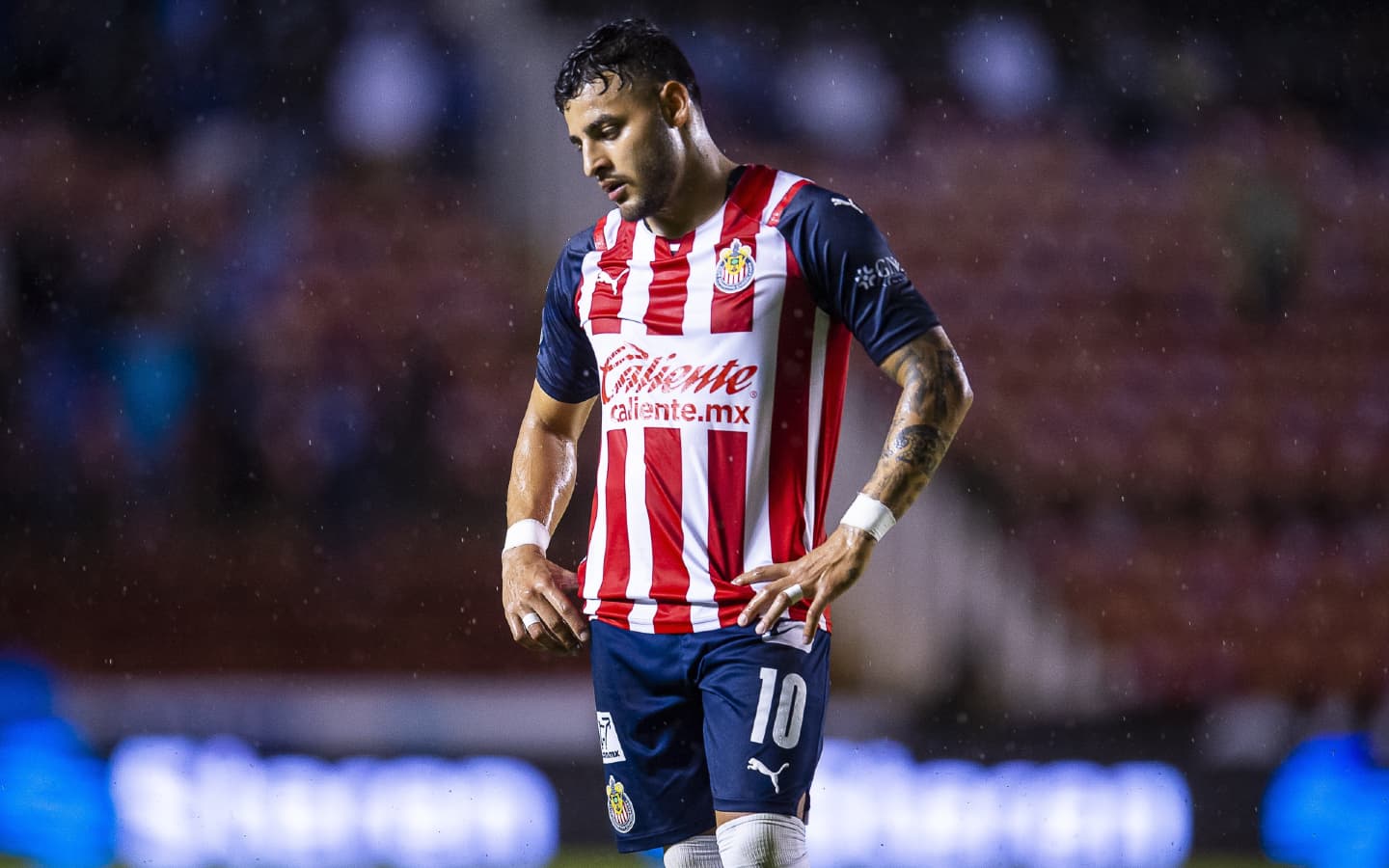 Chivas le habría ofrecido una mejora salarial a Alexis Vega, pero no lo suficiente para que permanezca en el club.