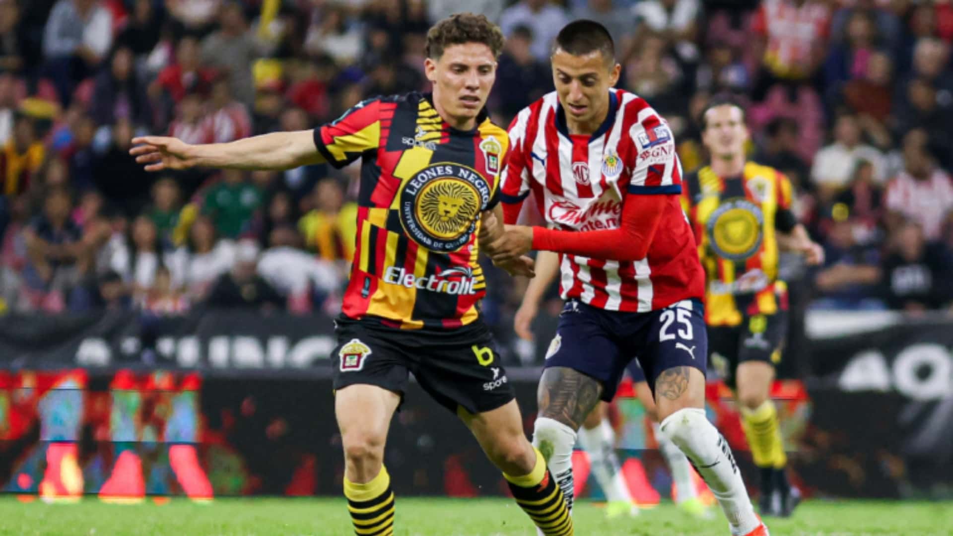 Chivas perdió contra leones negros | Foto: Esto