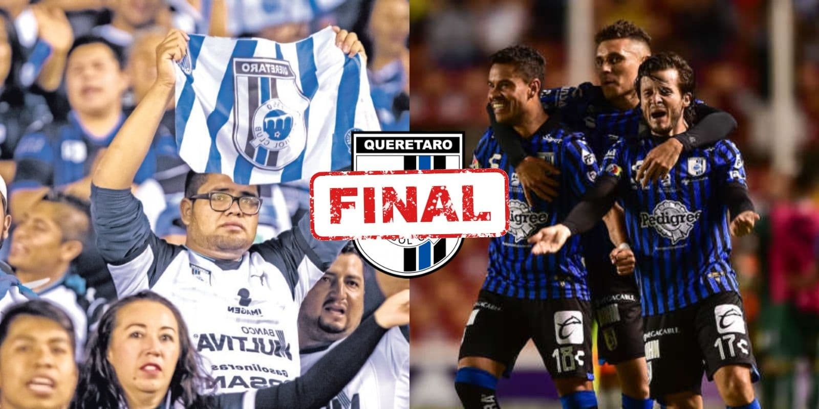 Conoce el jugador que por su edad saldría de Gallos Blancos.