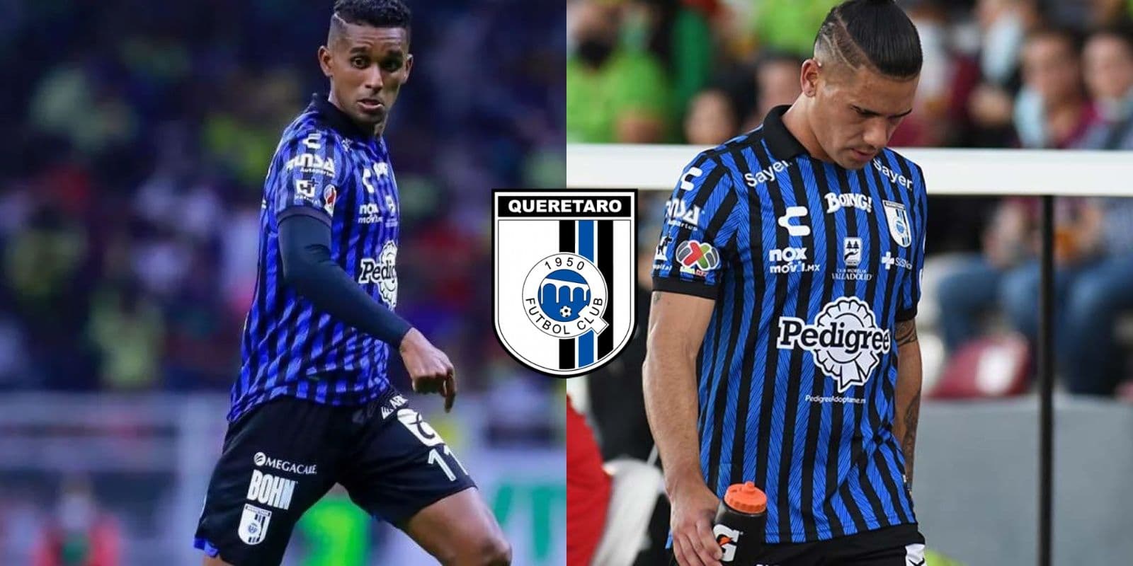 Conoce el jugador que se mantendría otra temporada en Gallos Blancos.
