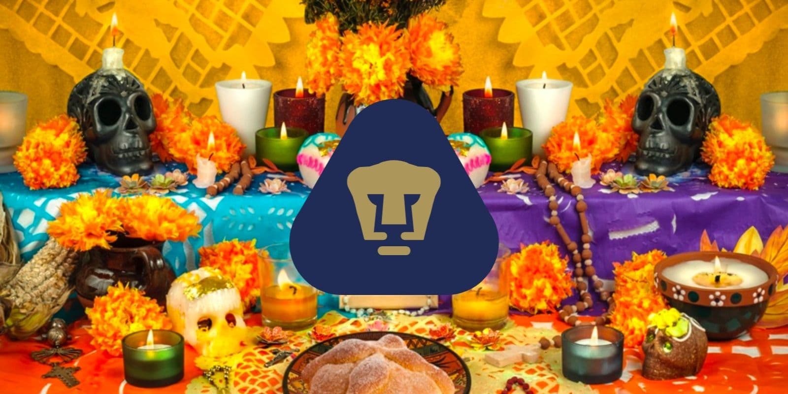 Conoce el nuevo apodo que aficionados en redes sociales le pusieron a Pumas.