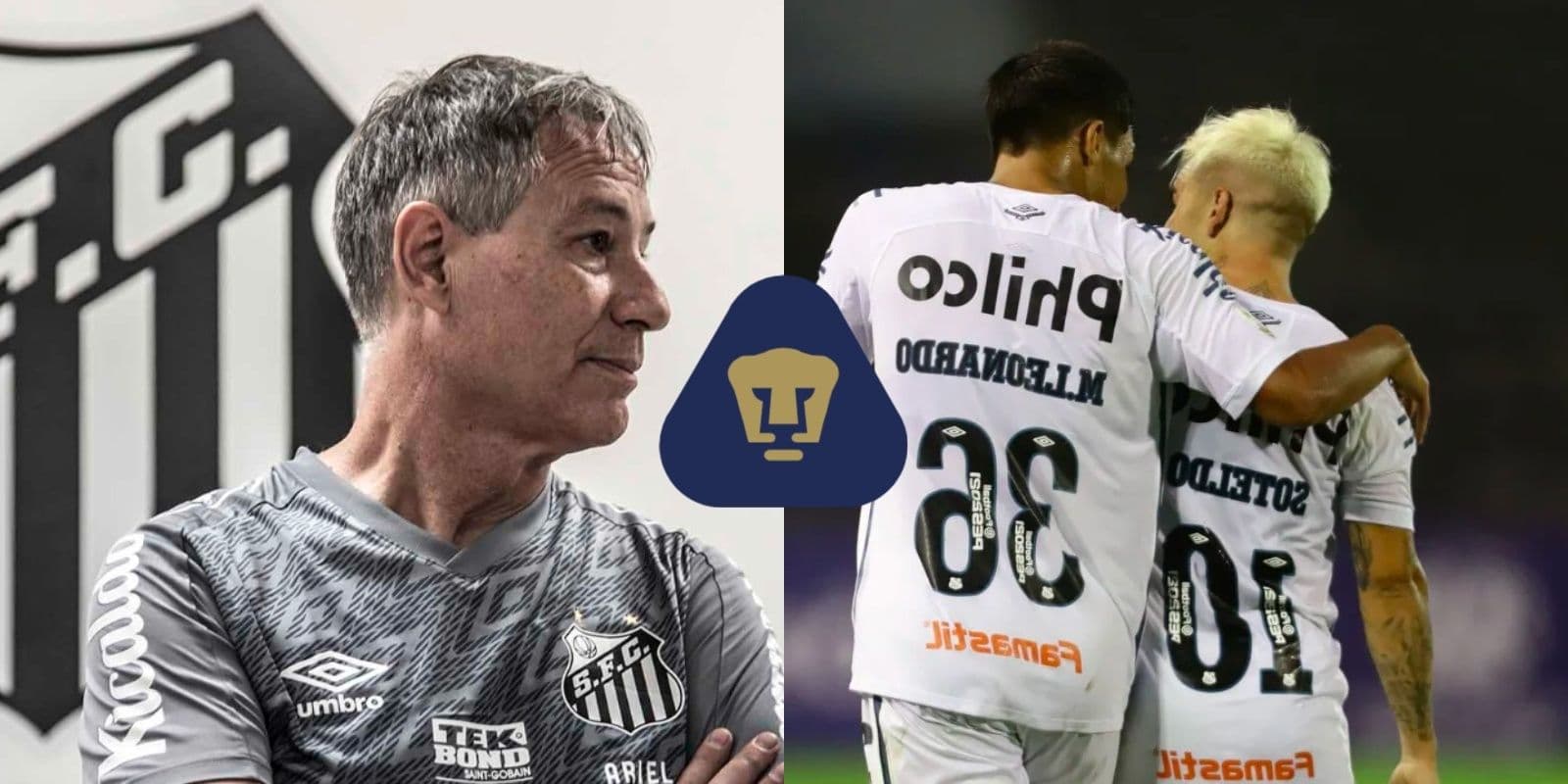 Conoce el refuerzo del Santos de Brasil que traería Ariel Holan a Pumas.