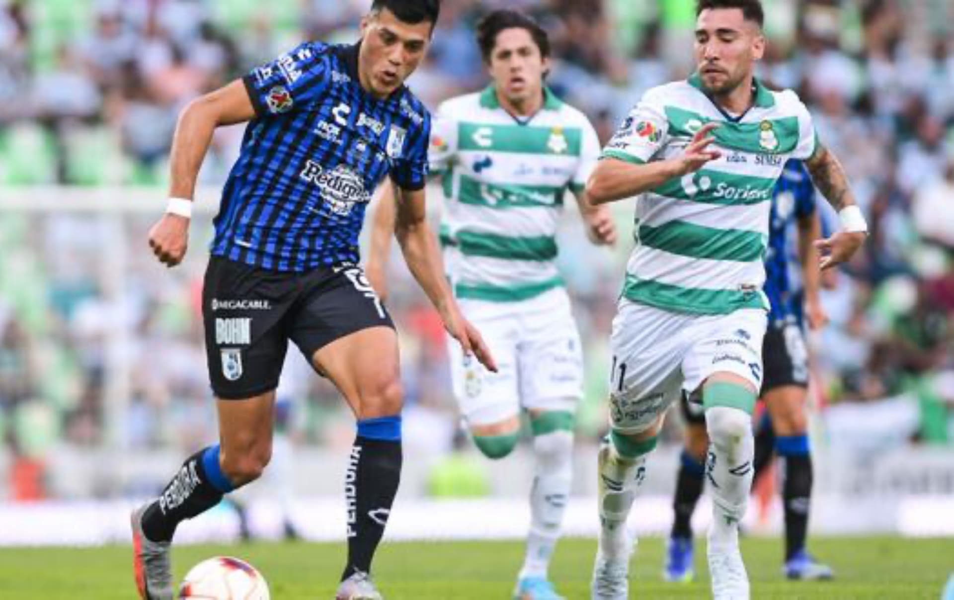 Conoce la maldición que impidió que Gallos Blancos ganara ante Santos.