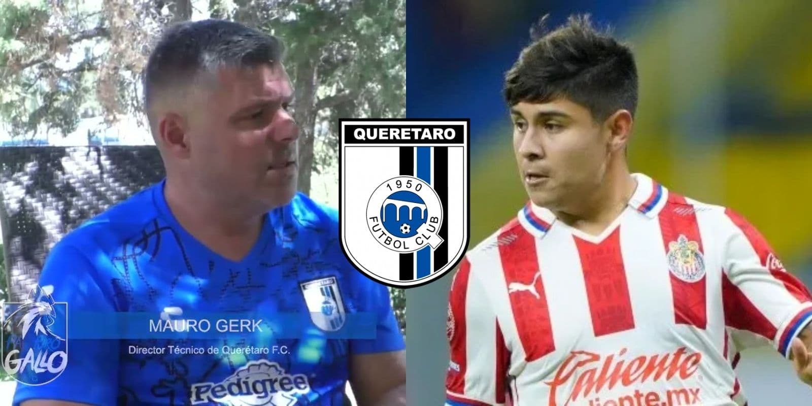 Conoce la respuesta de Mauricio Gerk, DT de Gallos Blancos cuando le preguntaron sobre el fichaje de Eduardo “La Chofis” López.
