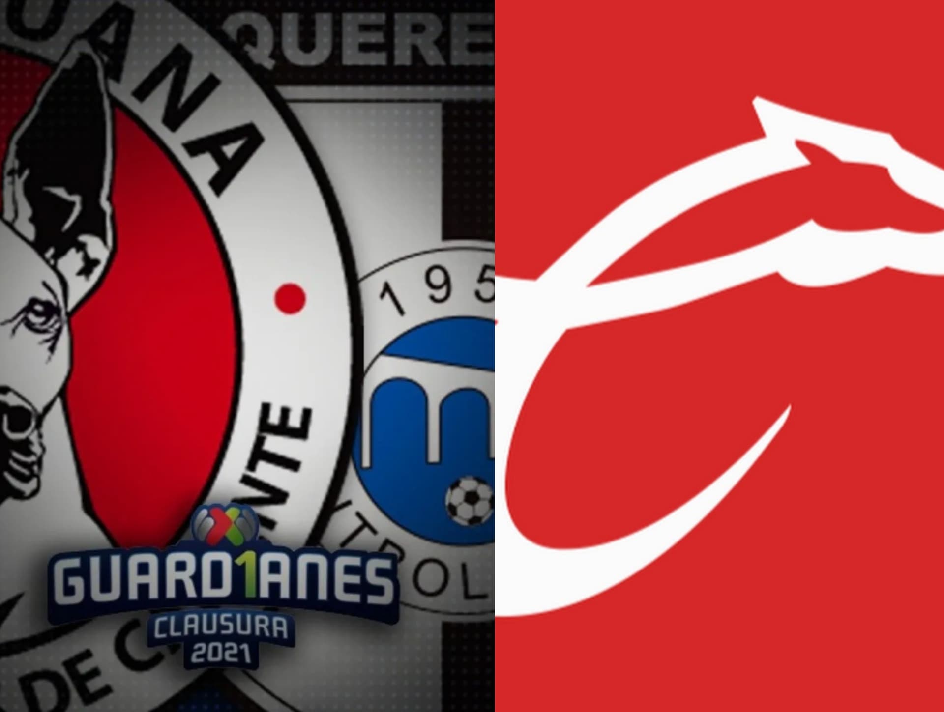 Conoce la situación de Gallos Blancos previo a su encuentro contra Juárez.