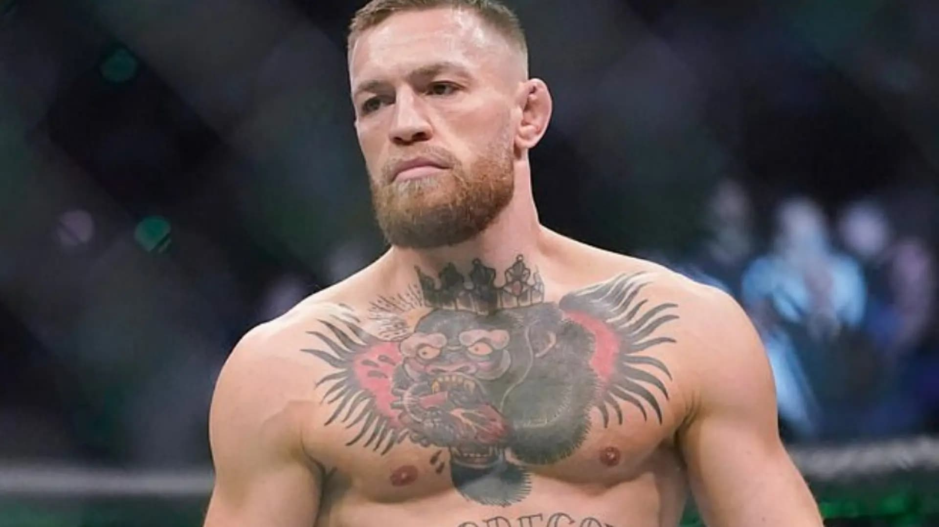 Conor McGregor (Foto: 20 Minutos).