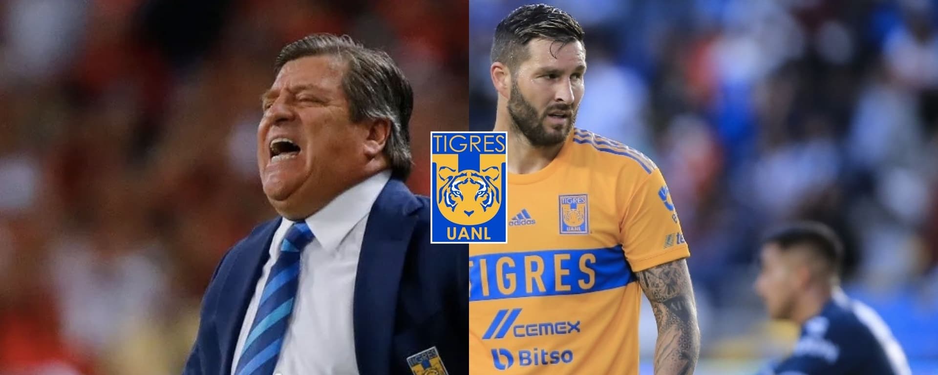 Dejó en ceros a André-Pierre Gignac y ahora lo quieren para que saque a Miguel Herrera de Tigres.