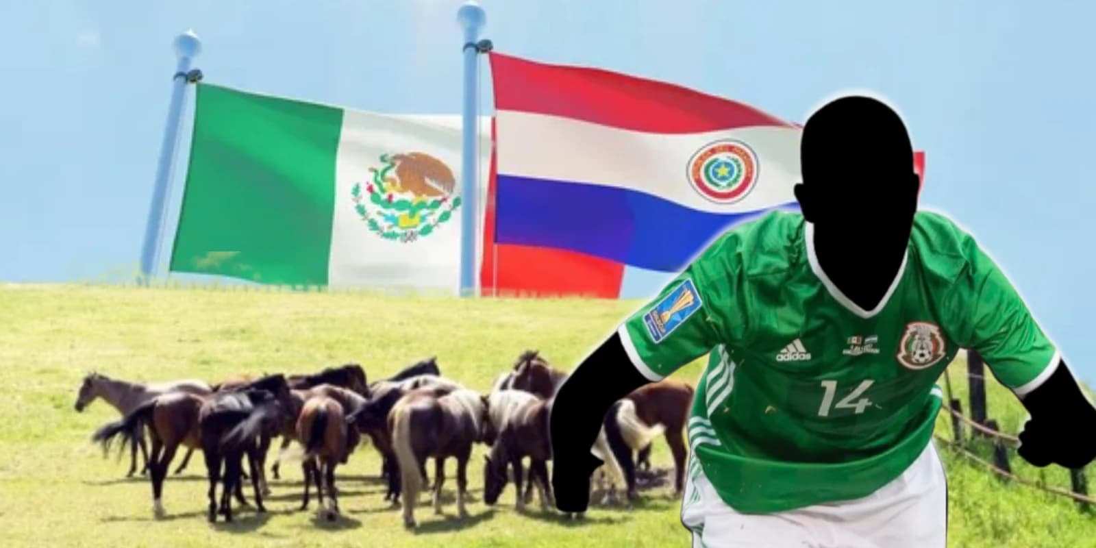 Del Tri al campo: el ex futbolista del Tri que se dedica al cuidado de caballos