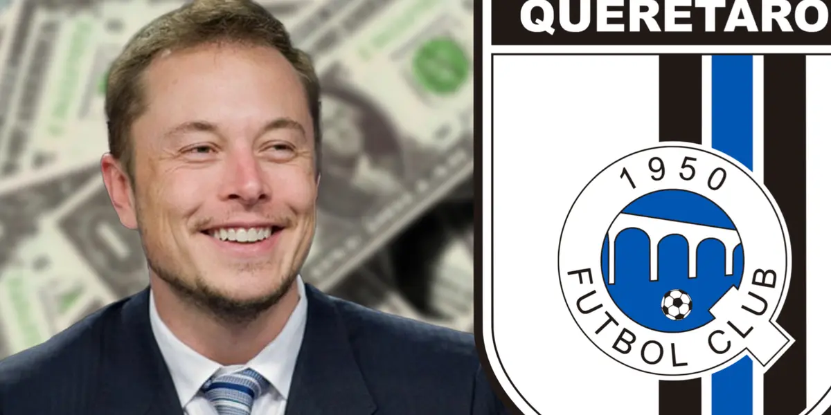 Descubre cuanto se tardaría Elon Musk en comprar a Gallos Blancos.