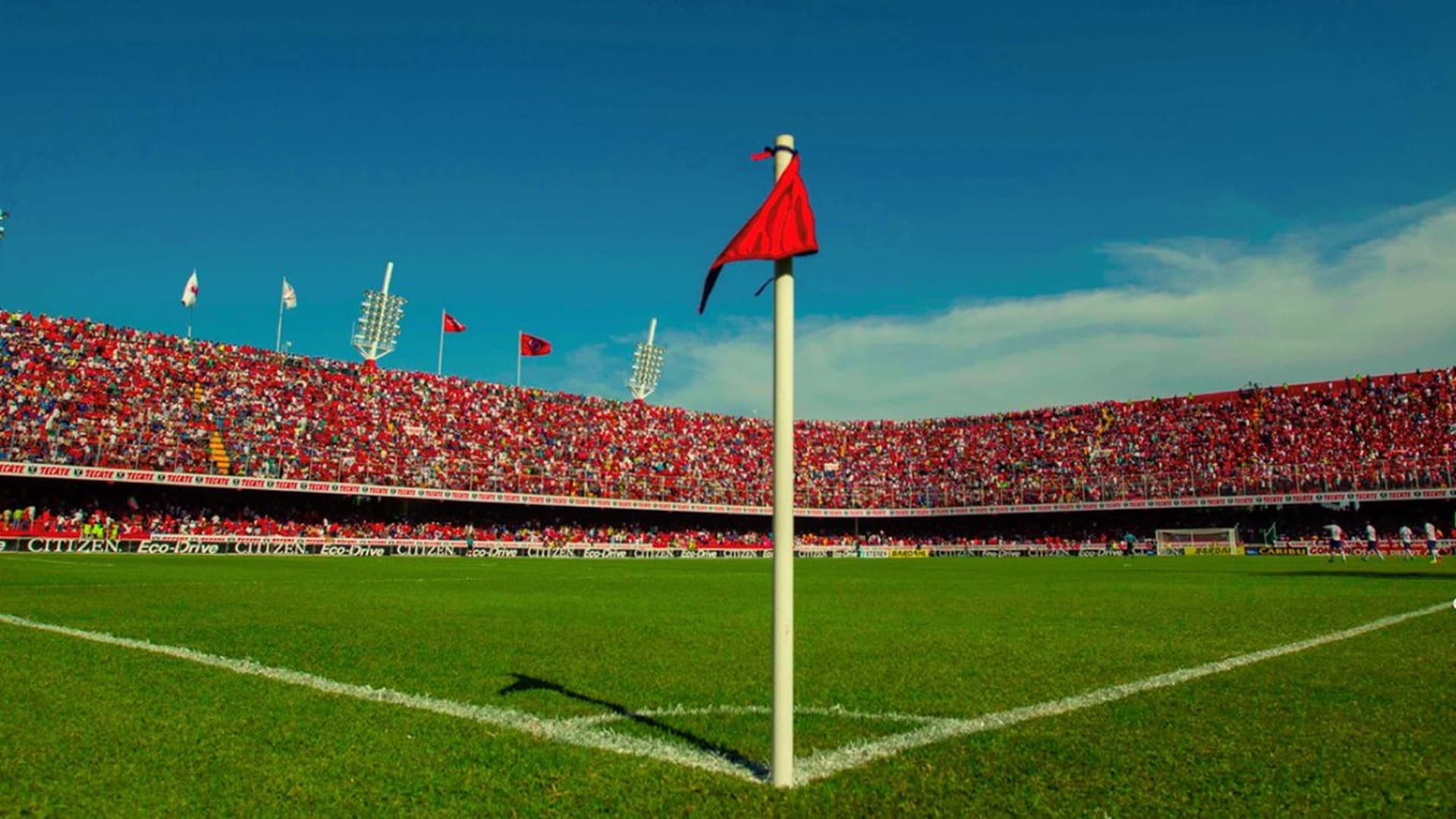 Después de cinco años de ausencia, el puerto volverá a ver rodar la pelota