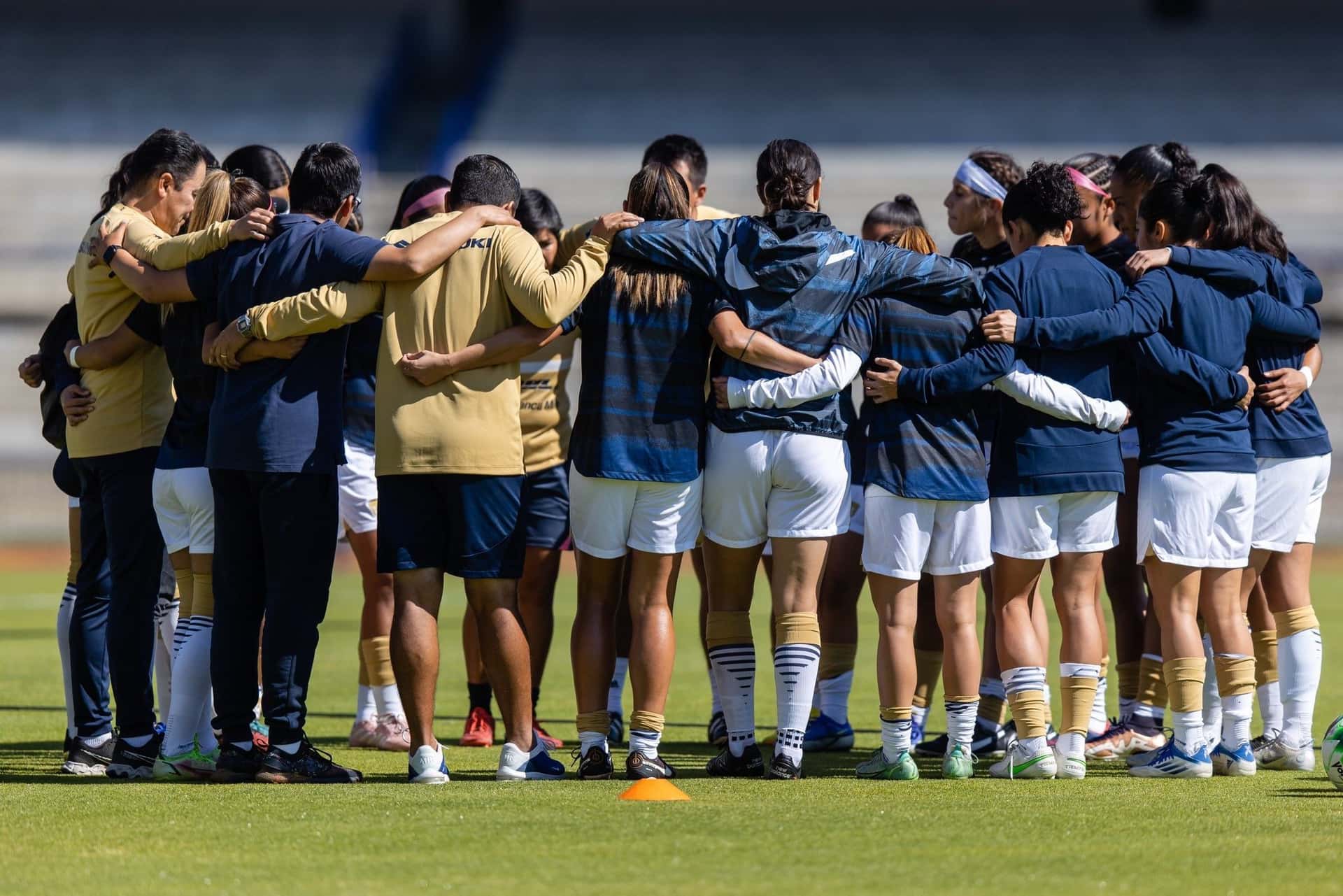 Duelo de felinas que promete mucho.