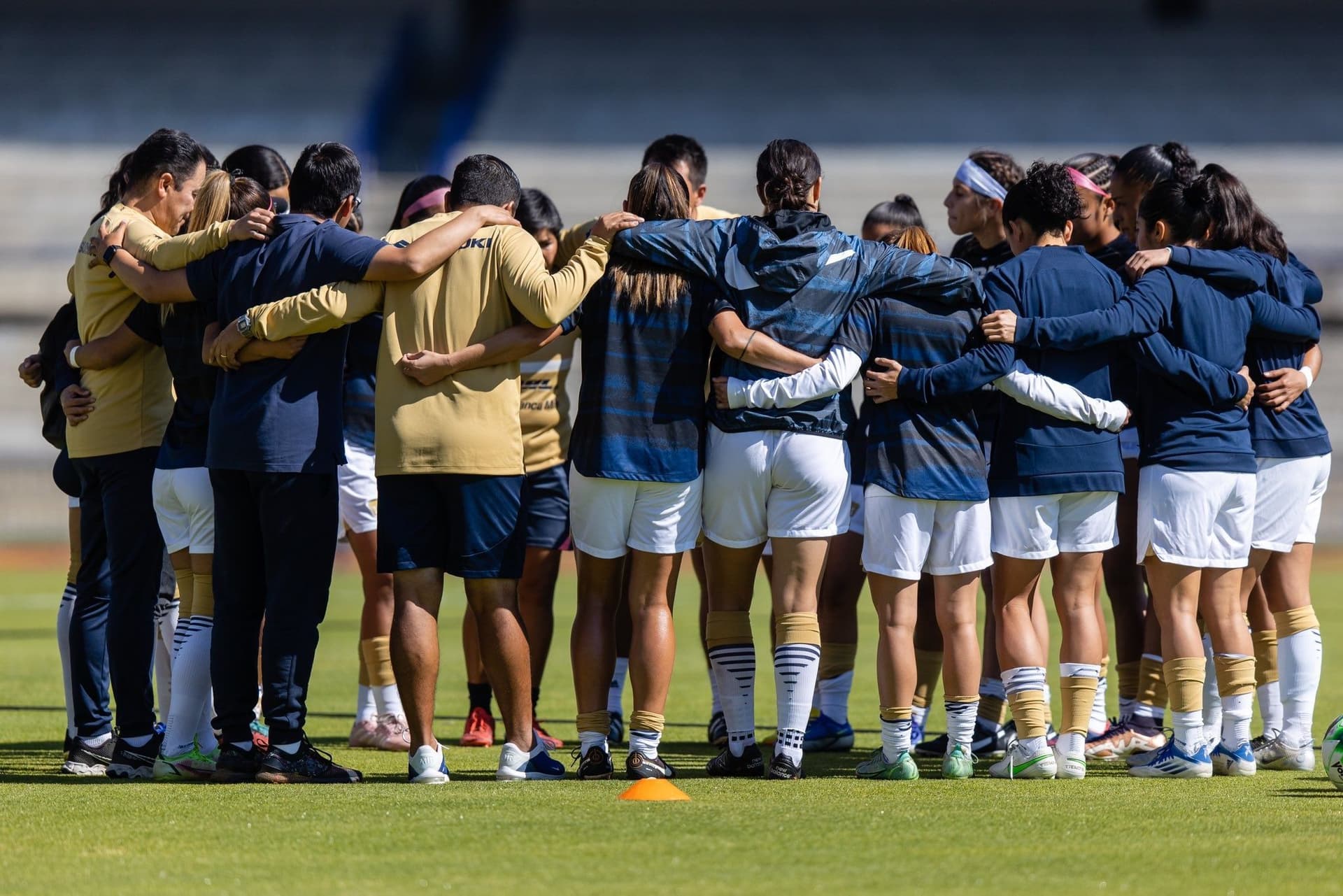 Duelo de felinas que promete mucho.