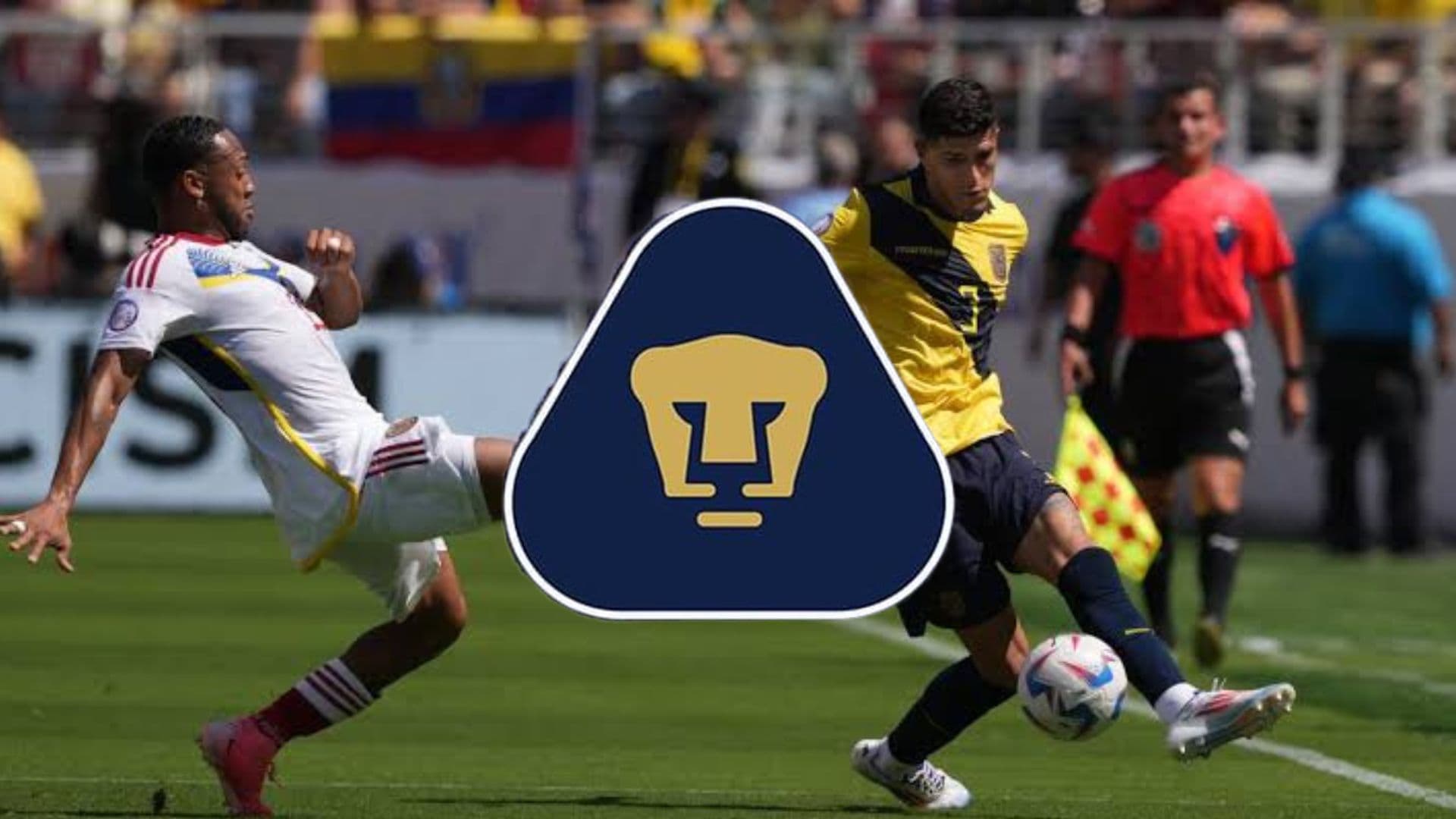 Ecuador vs Venezuela en Copa América /Foto: Agencias