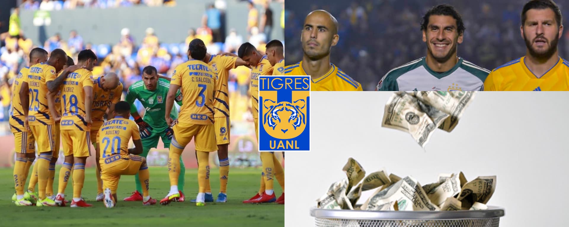 El defensor felino no estaría en el conjunto para el próximo torneo.