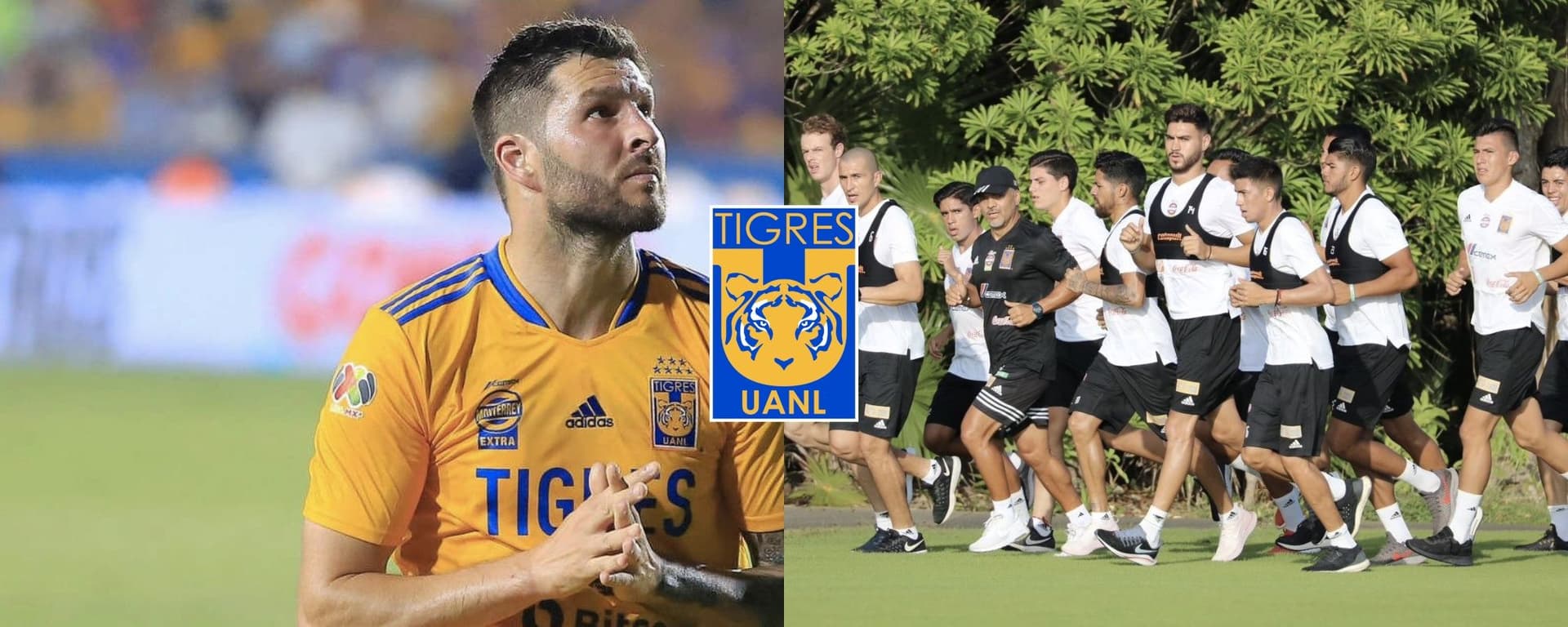 El delantero ha mostrado muchas cualidades para ser la próxima estrella de Tigres.
