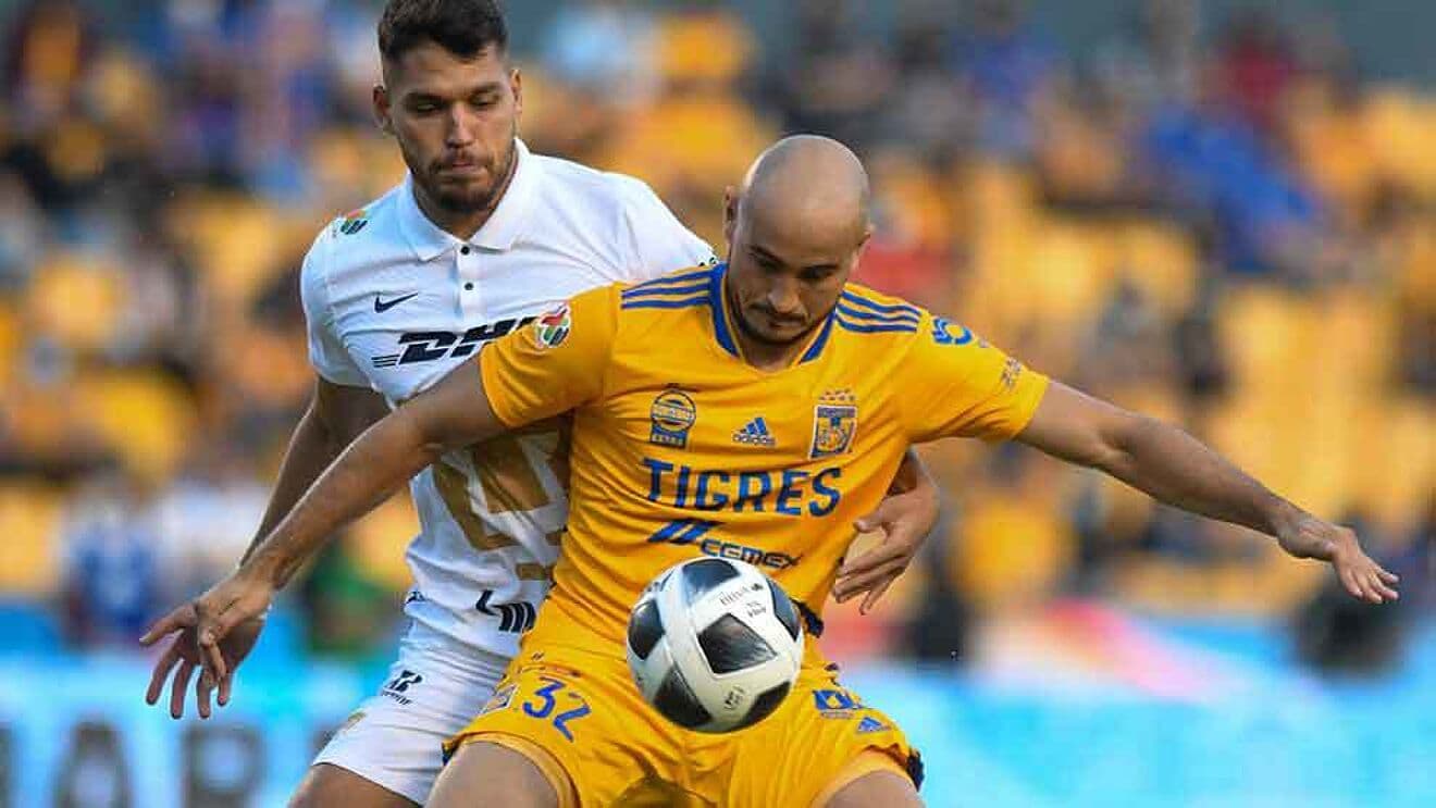 El duelo de felinos se disputará el domingo