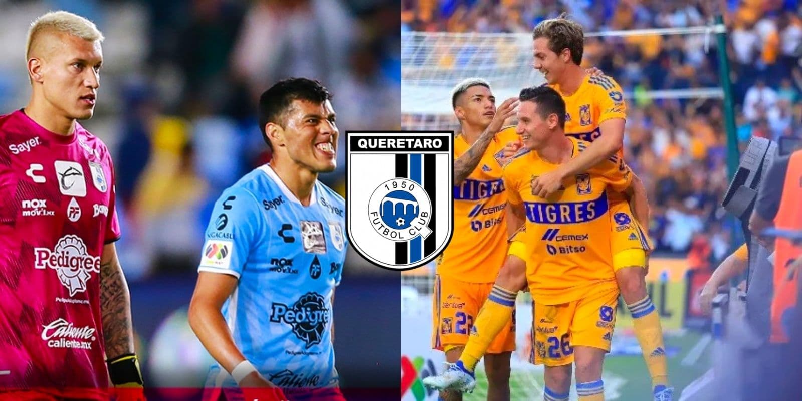 El equipo de Miguel Herrera podría hacerle perder a Gallos Blancos hasta 80 millones de pesos.