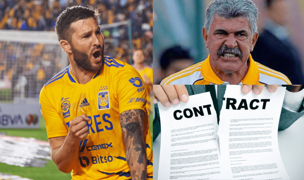 El equipo felino necesita pensar en el nuevo Gignac, ya lo tenían, pero lo dejaron ir