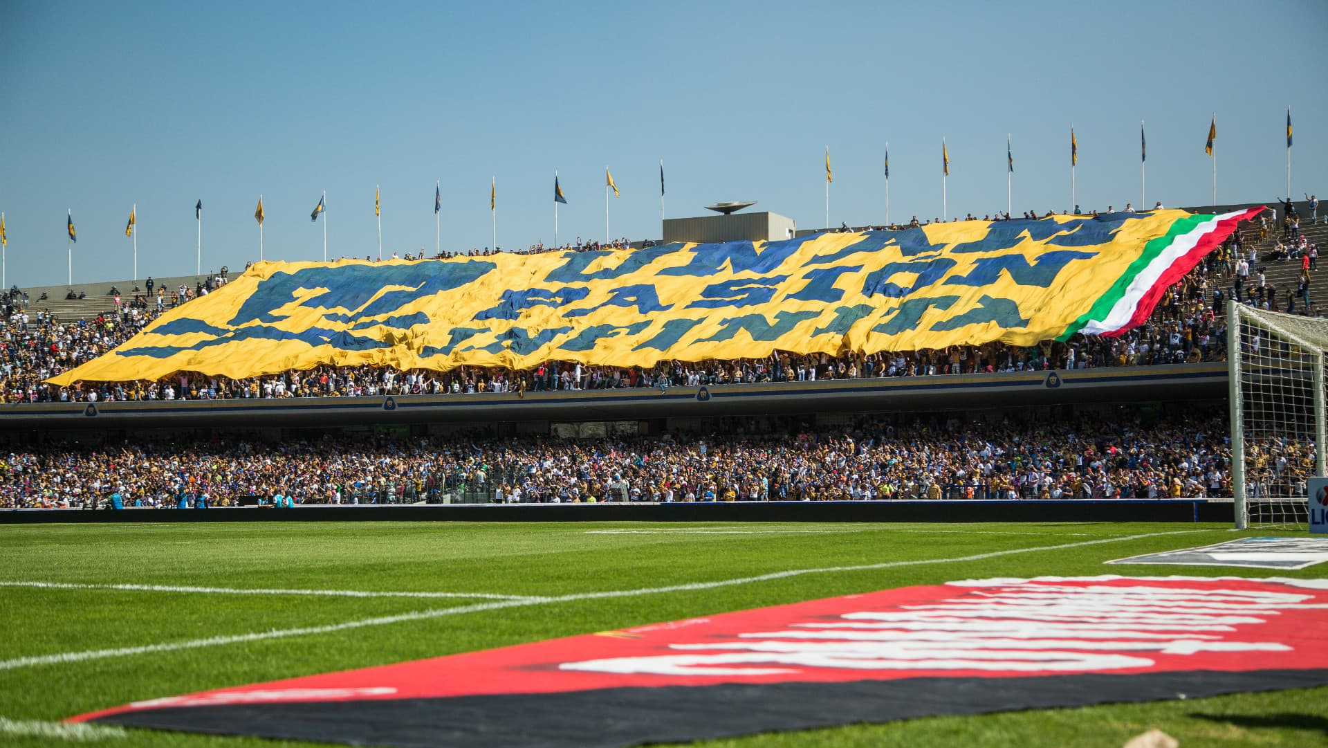 El estadio podrá contar con toda su capacidad.