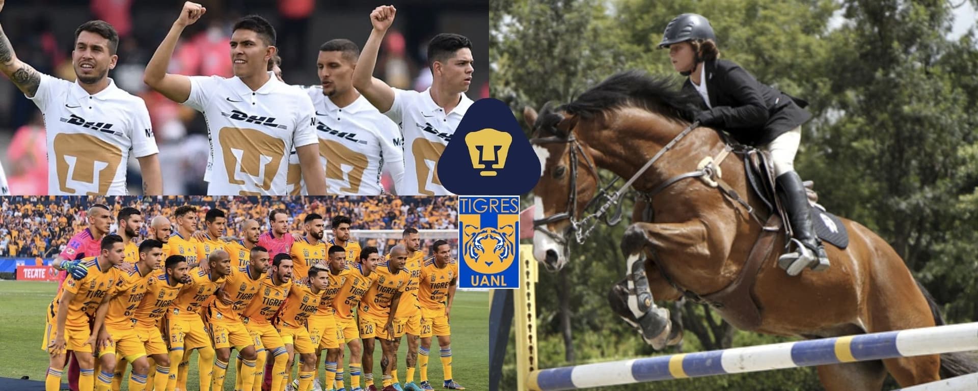 El fútbol no le dio con Miguel Herrera en Tigres, estuvo a punto del retiro para dedicarse a los caballos y ahora sería titular en Pumas.