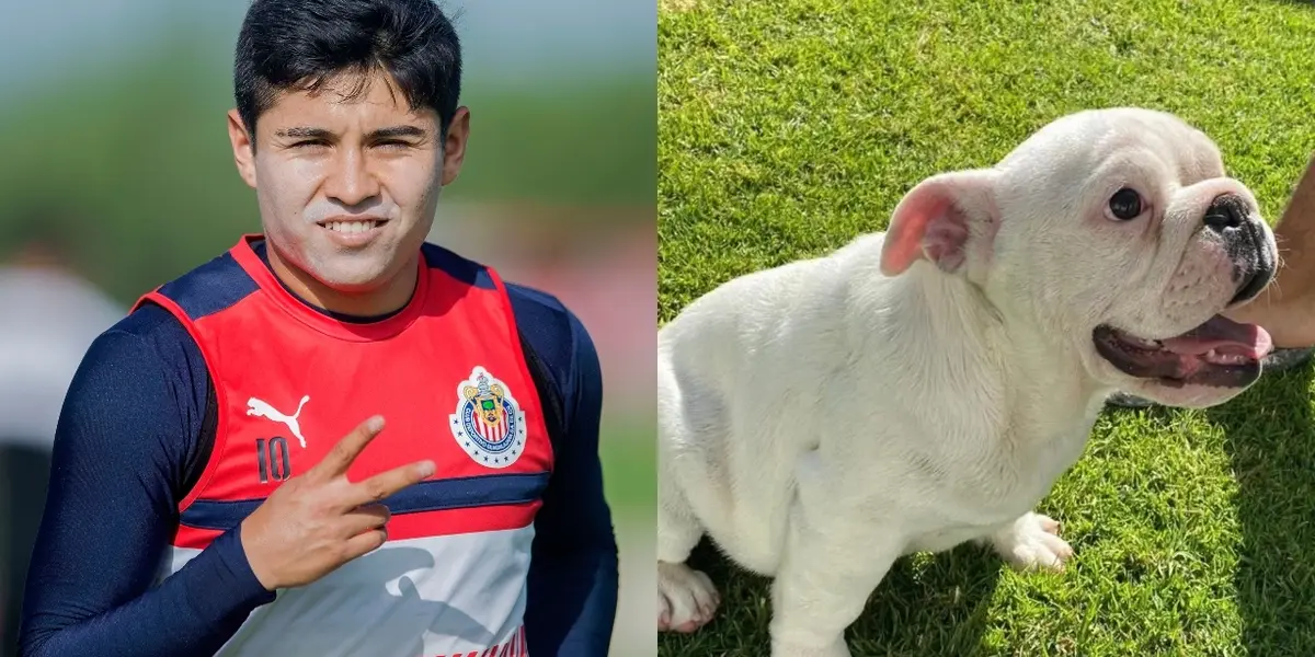 El futbolista mexicano se dio un lujo, al comprar una mascota, en plena pandemia.