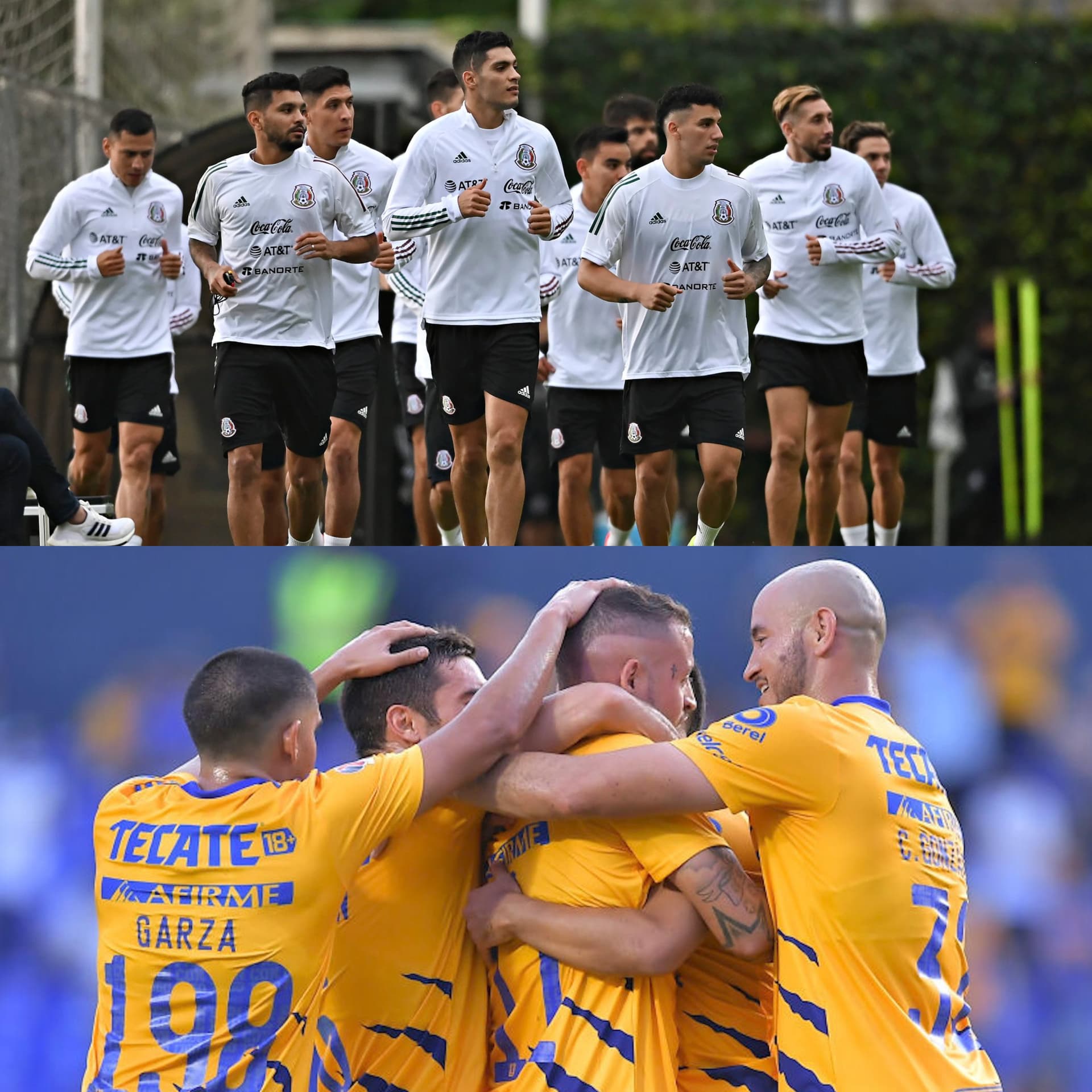 El goleador silencioso de Tigres no es bien visto por el DT del Tri.