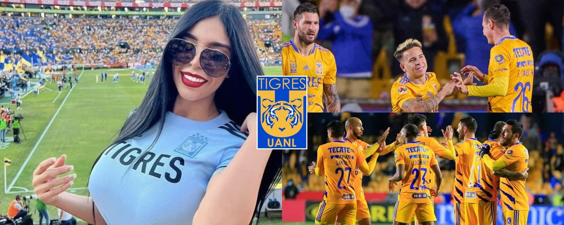 El jugador de Tigres ha dejado de tener actividad con el equipo y ahora Miguel Herrera prefiere a un sobrevalorado.