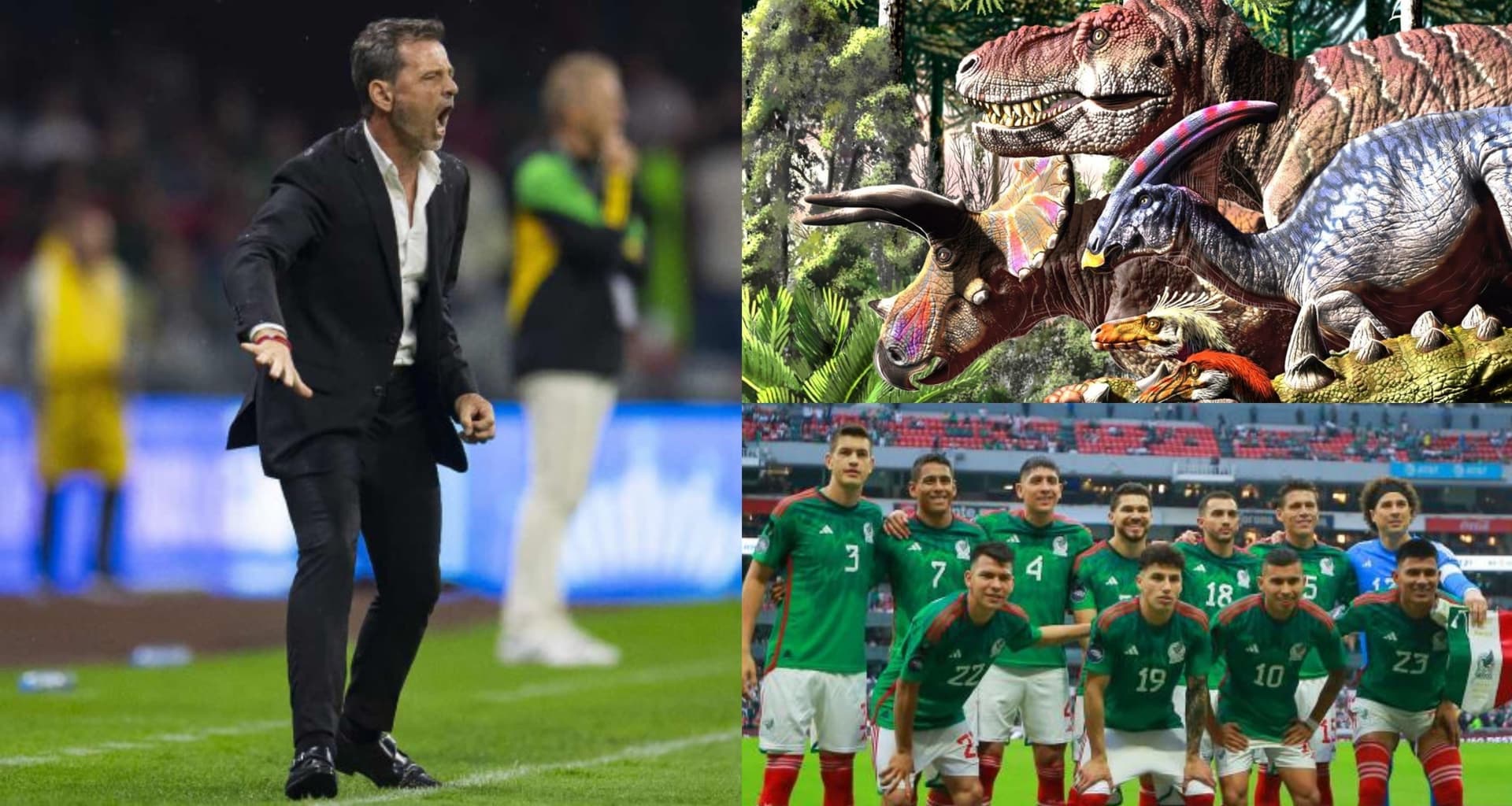 El jugador que dio un paso al costado en la Selección Mexicana