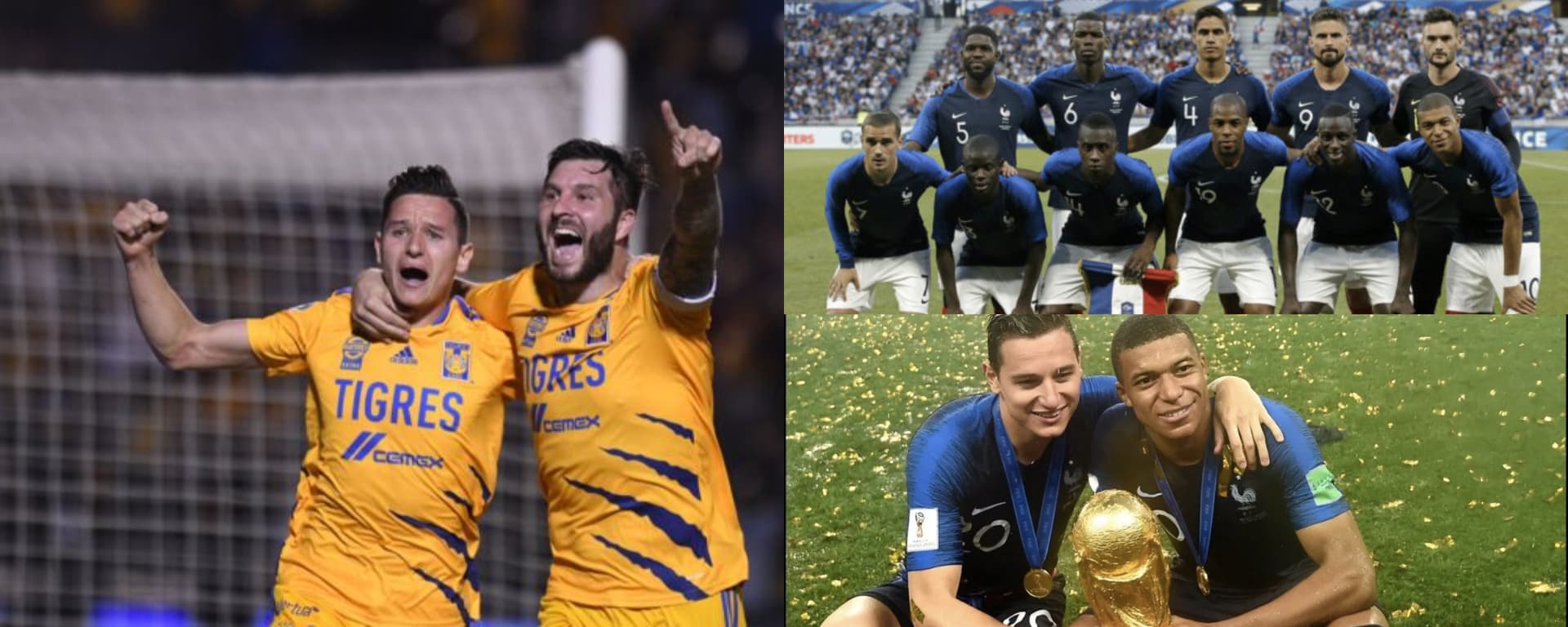 El jugador se adapta perfecto a las necesidades de juego y el presupuesto actual de Tigres.