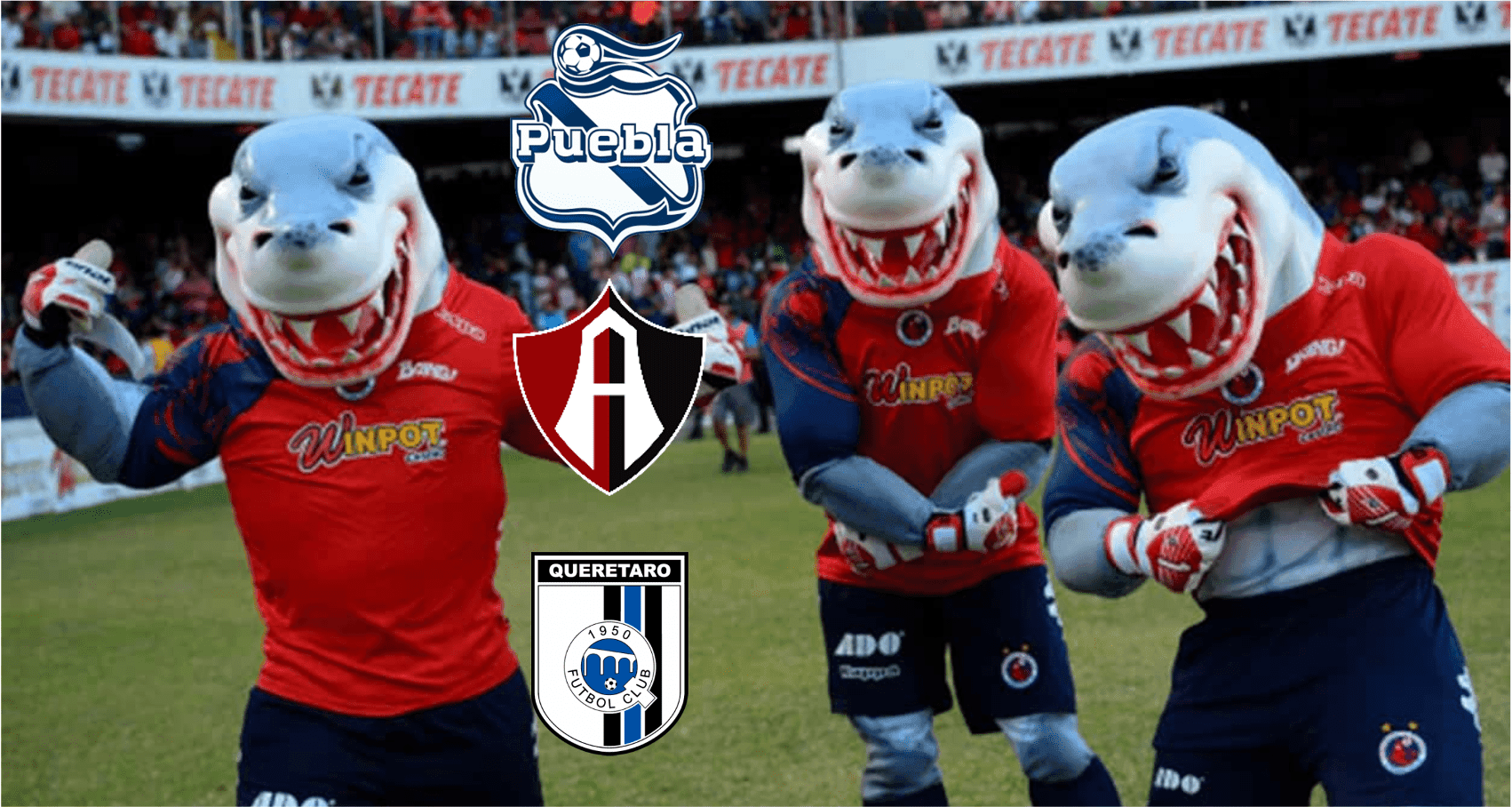 El regreso de los Tiburones Rojos de Veracruz de cocina, ya se sabe qué club podrían comprar.