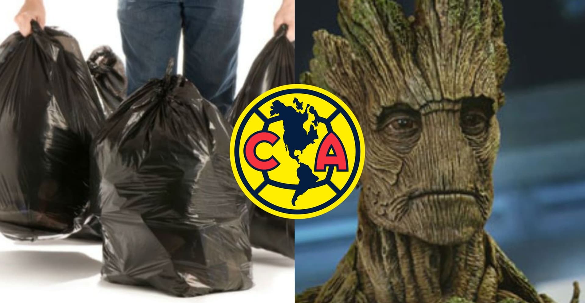 Empieza la limpia en Coapa
