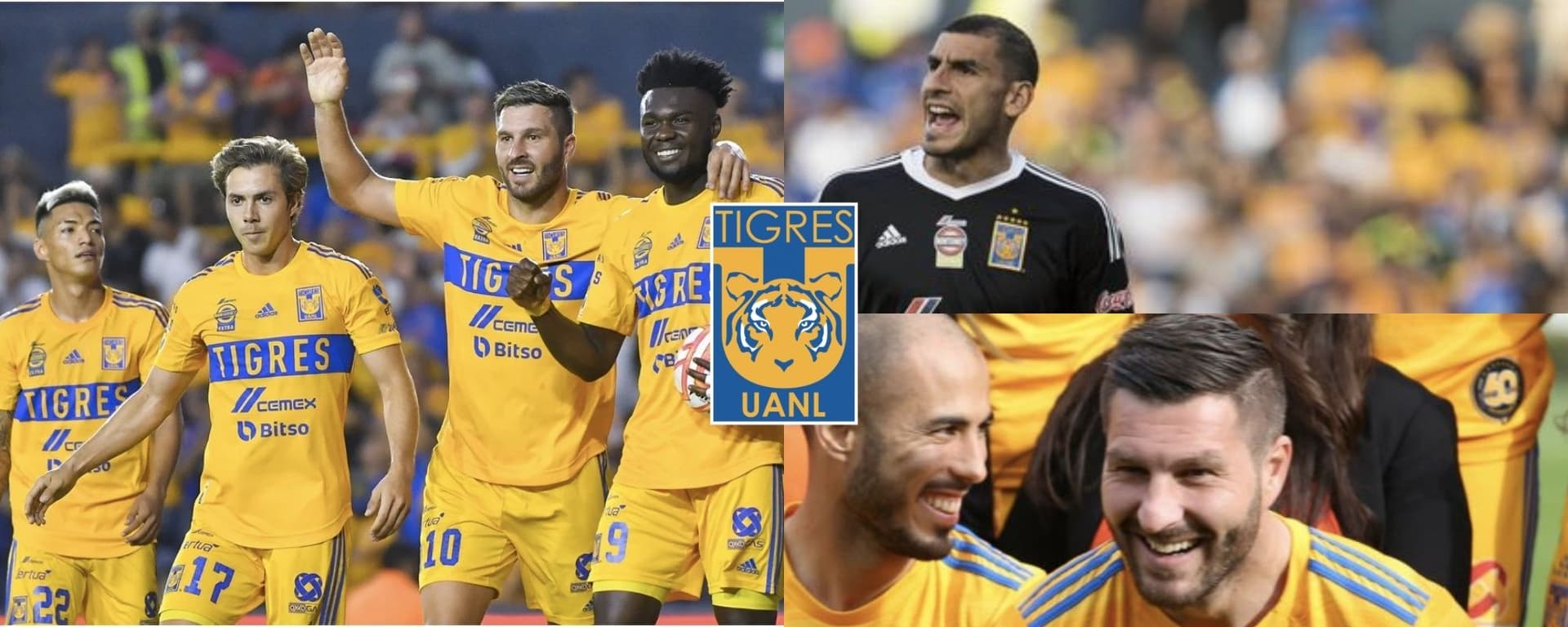 En Tigres gana lo mismo que dos estrellas del club pero no hace mucho y ya lo quieren fuera.