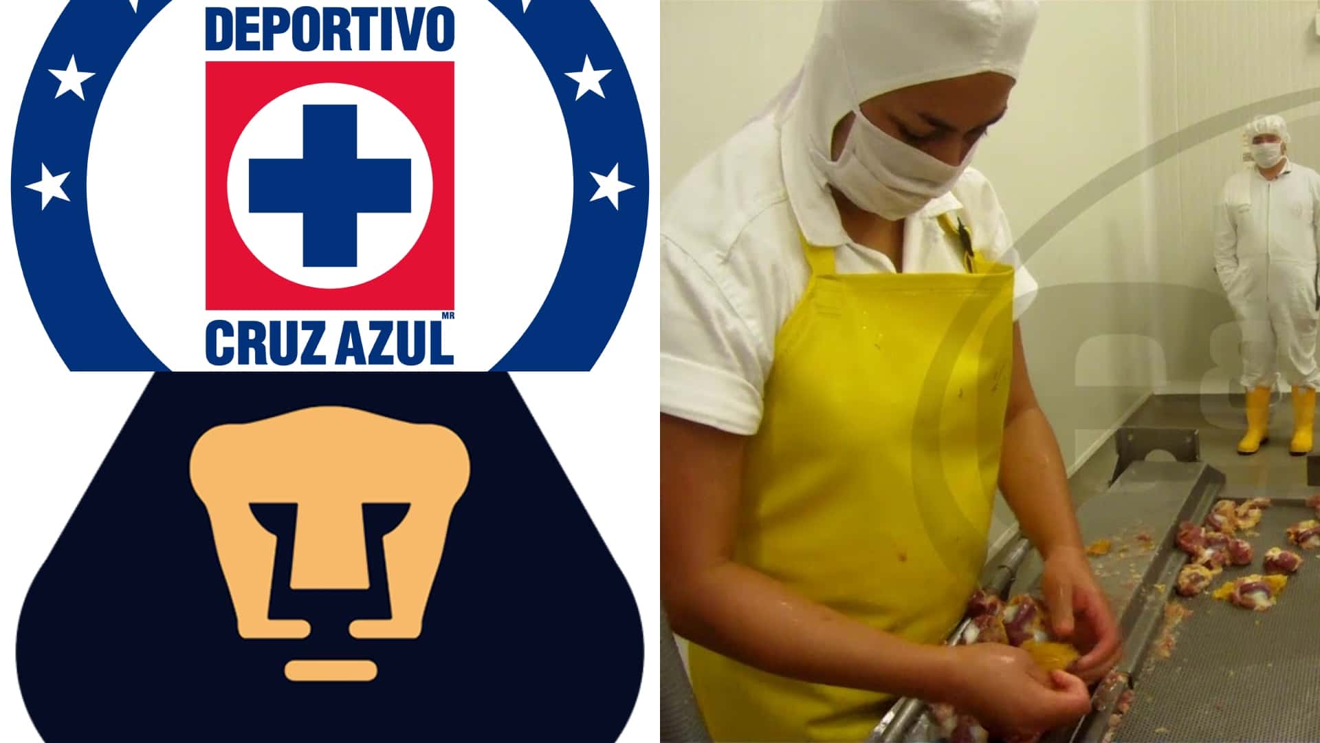 Escudo de Pumas y Cruz Azul / Imagen: EquiFrigos