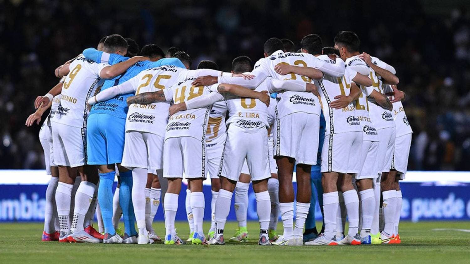 Favio Álvarez y Cristian Battocchio serían los candidatos a salir de Pumas, aunque Leonel López, Julio González y Jerónimo Rodríguez terminan contrato con los universitarios.