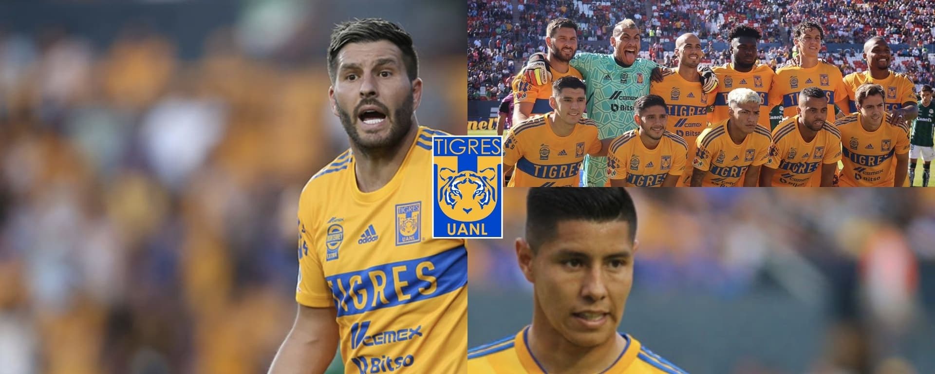 Filtran cuál es el primer veterano ídolo que se retira de Tigres.