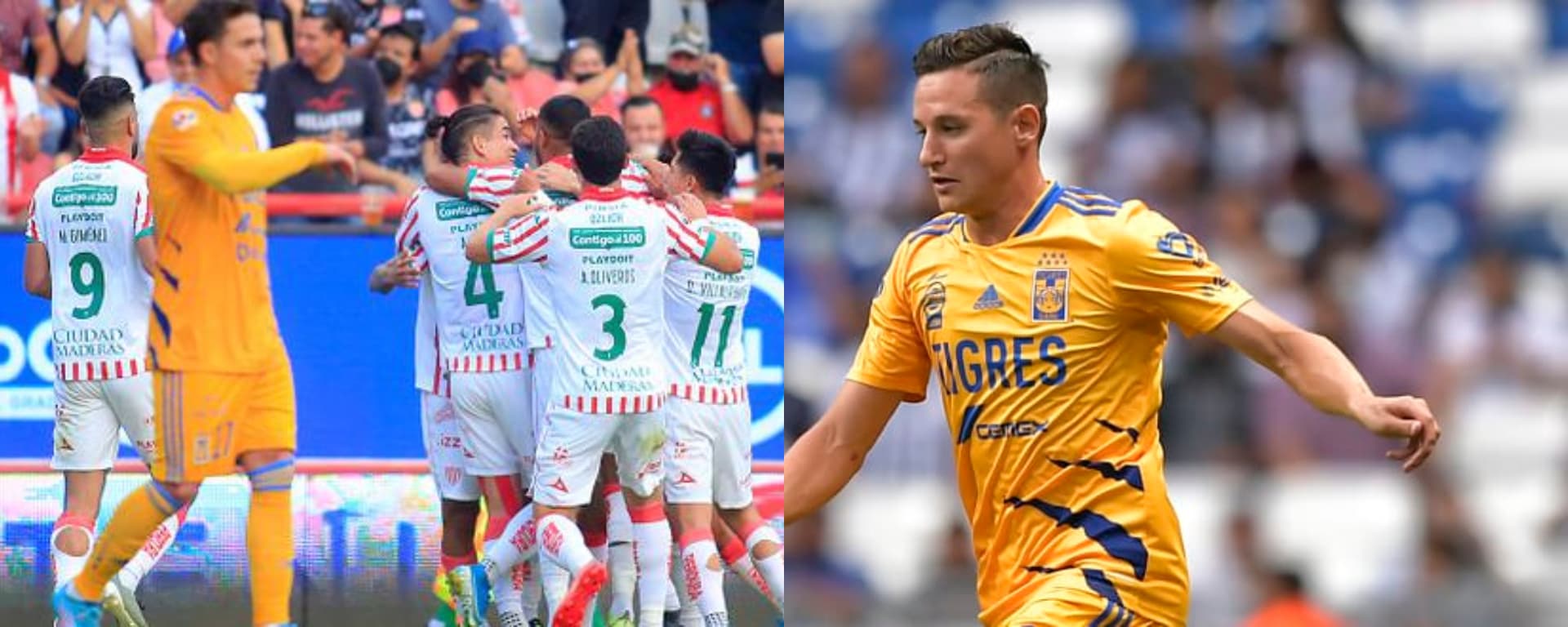 Florian Thauvin estuvo desaparecido en el encuentro de Tigres vs Necaxa.