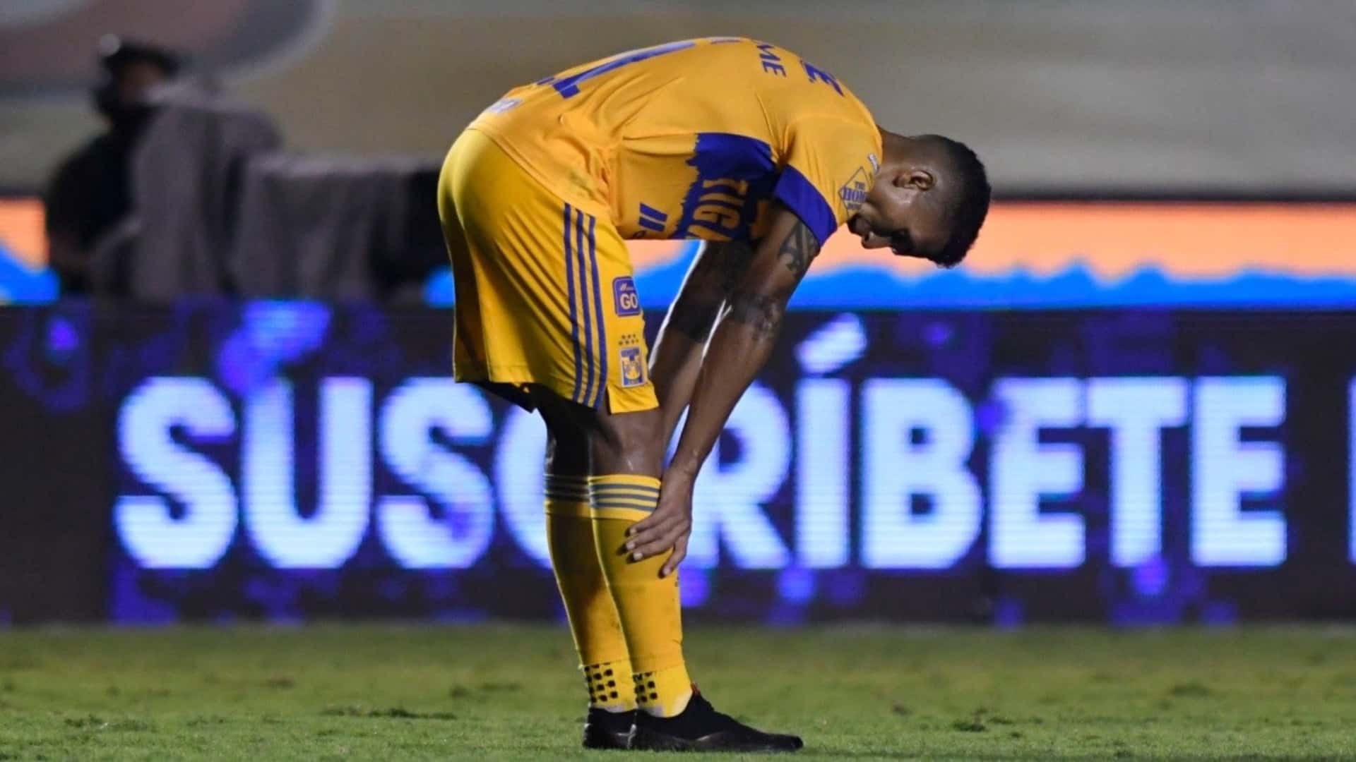 Francisco Meza (Foto: Bolavip)