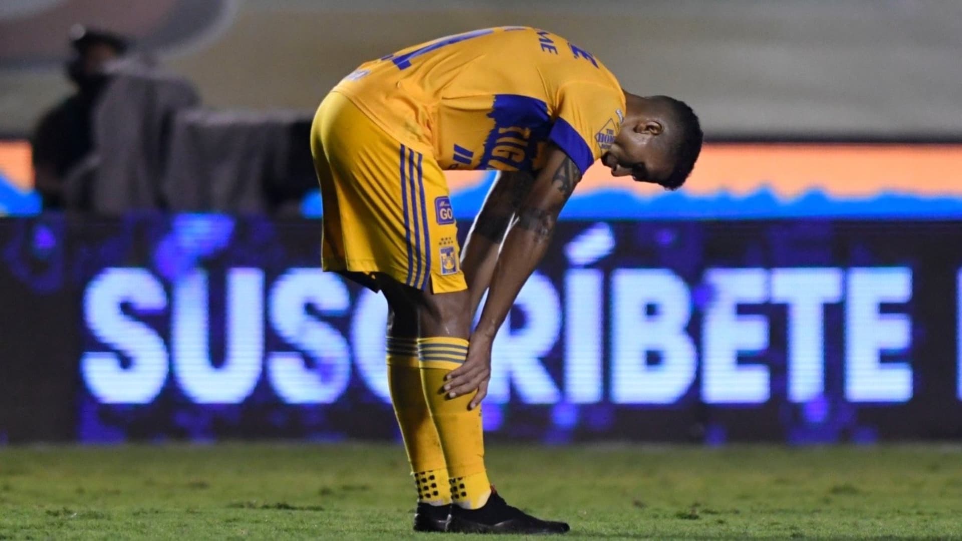 Francisco Meza (Foto: Bolavip)