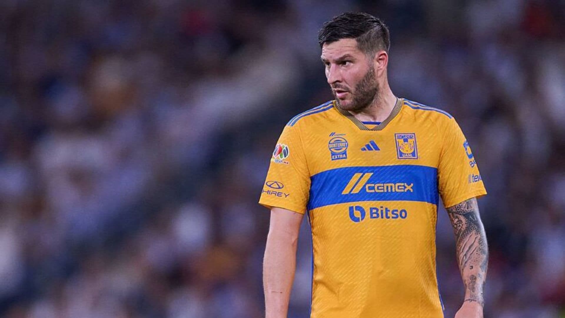 Gignac estaría cerca del récord de Cardozo (Foto: Mexsport)