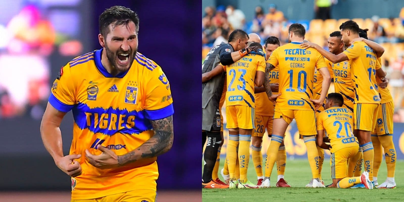 Gignac los separó al tener un desacuerdo, ahora podrían salir de Tigres