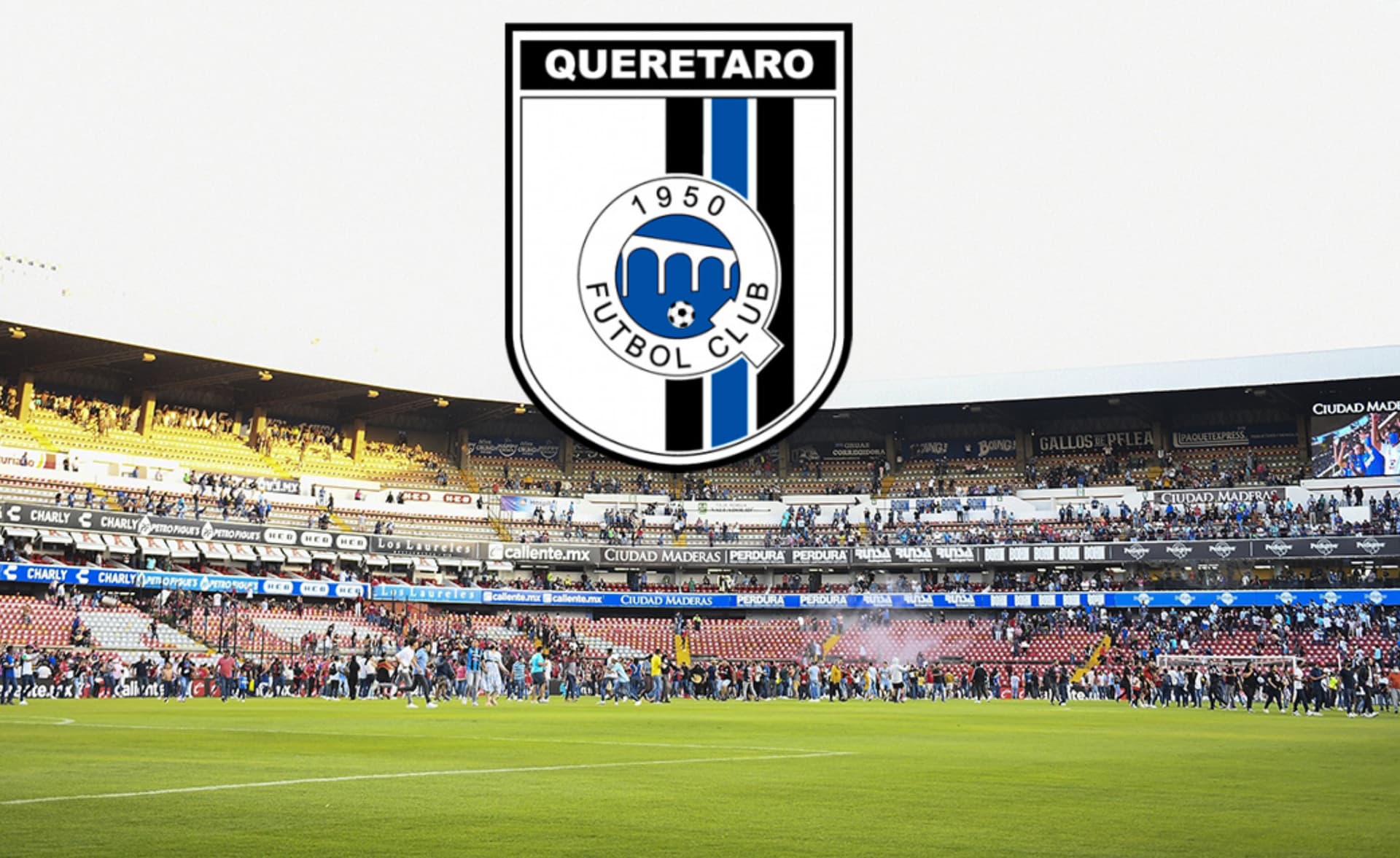 Hoy se presentó al nuevo jefe de Gallos Blancos ante la prensa.