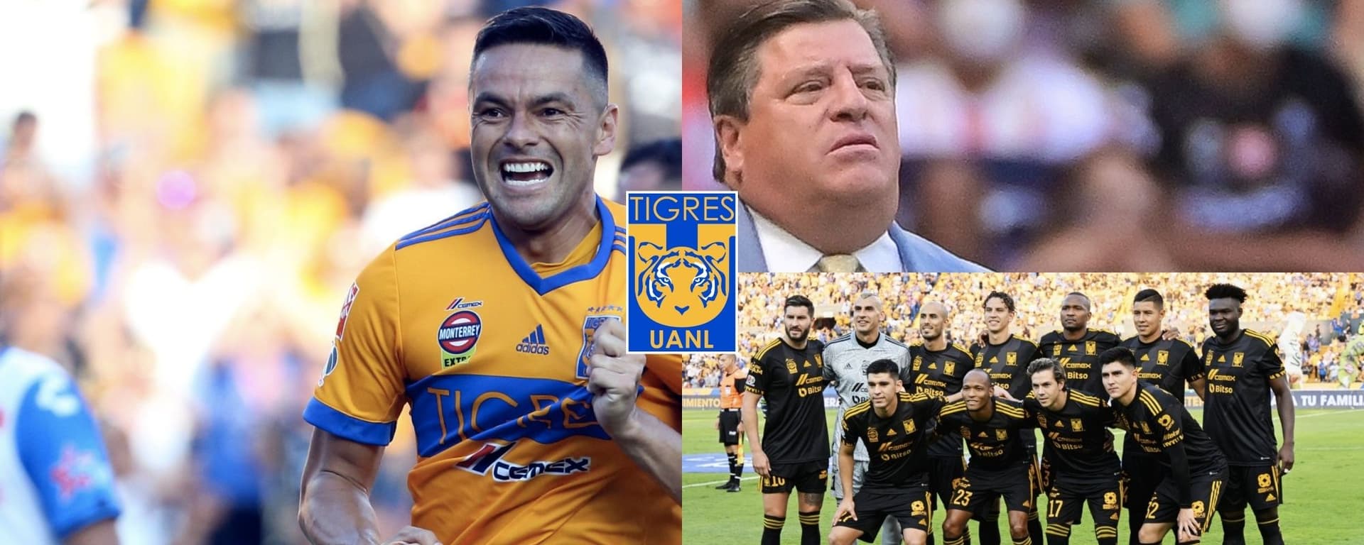 Juninho criticó la gestión de Miguel Herrera y acepta suplirlo como el DT de Tigres.