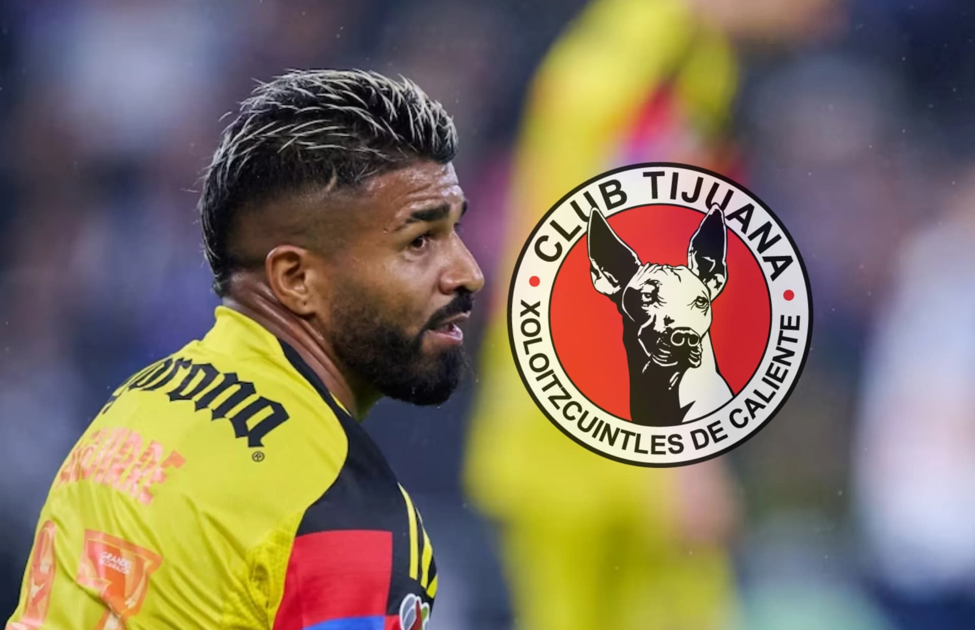 La directiva del América sorprendió a Tijuana con su respuesta respecto a Rodrigo Aguirre.