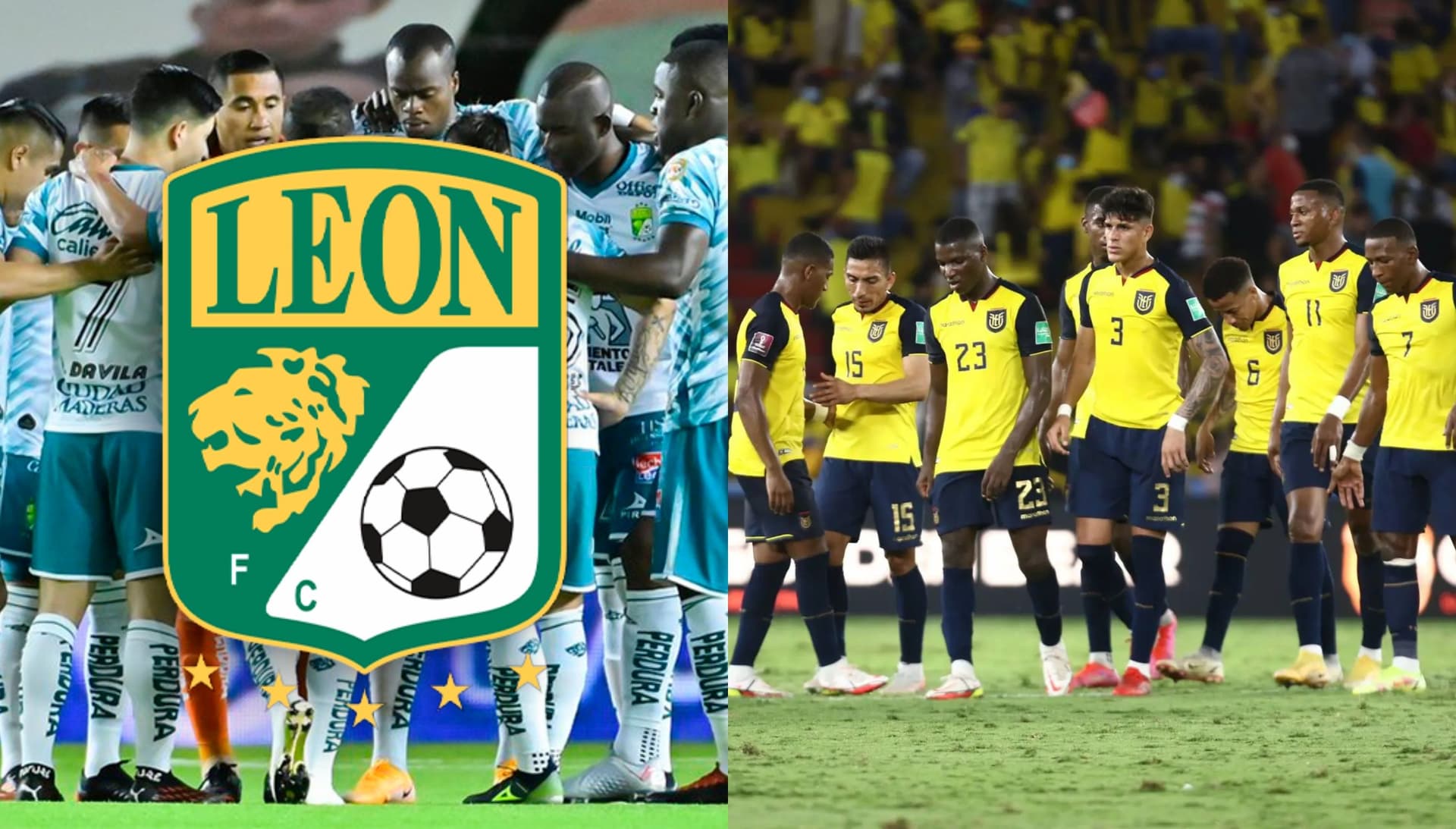 La fiera tiene en sus filas a dos de los mejores jugadores de Ecuador