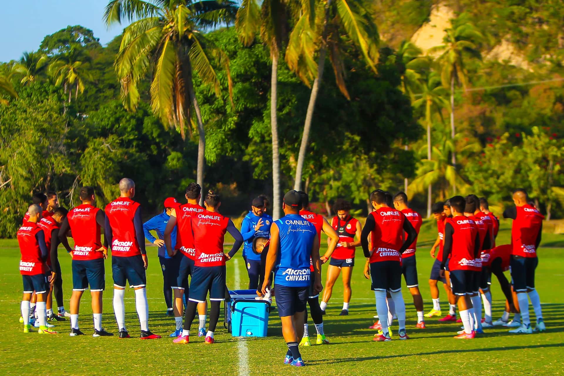 La llegada de nuevos refuerzos a Chivas podría bloquear el camino de jugadores como Alejandro Organista.