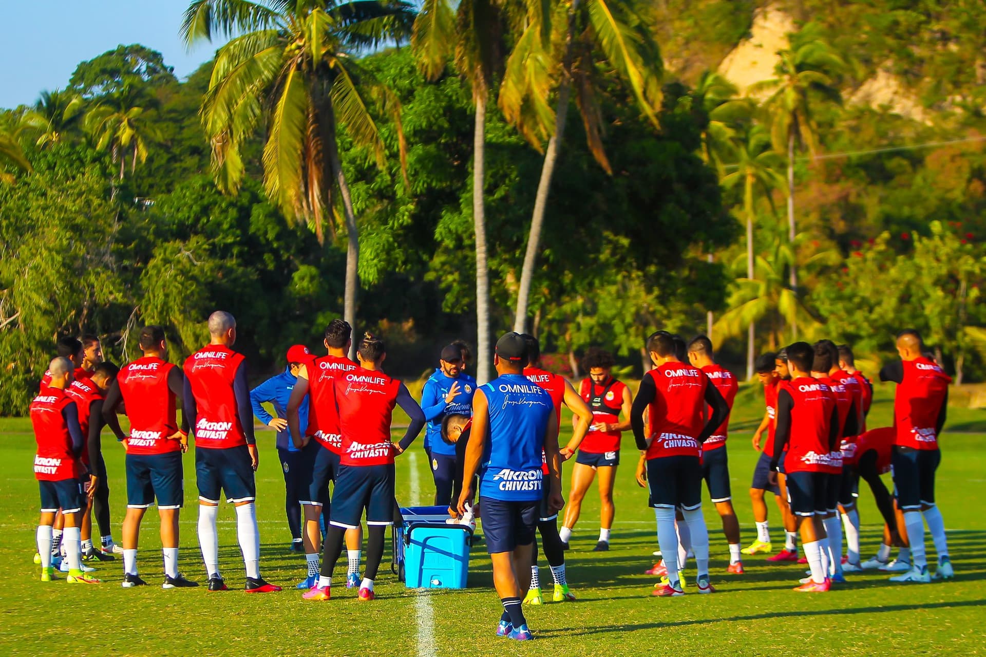 La llegada de nuevos refuerzos a Chivas podría bloquear el camino de jugadores como Alejandro Organista.