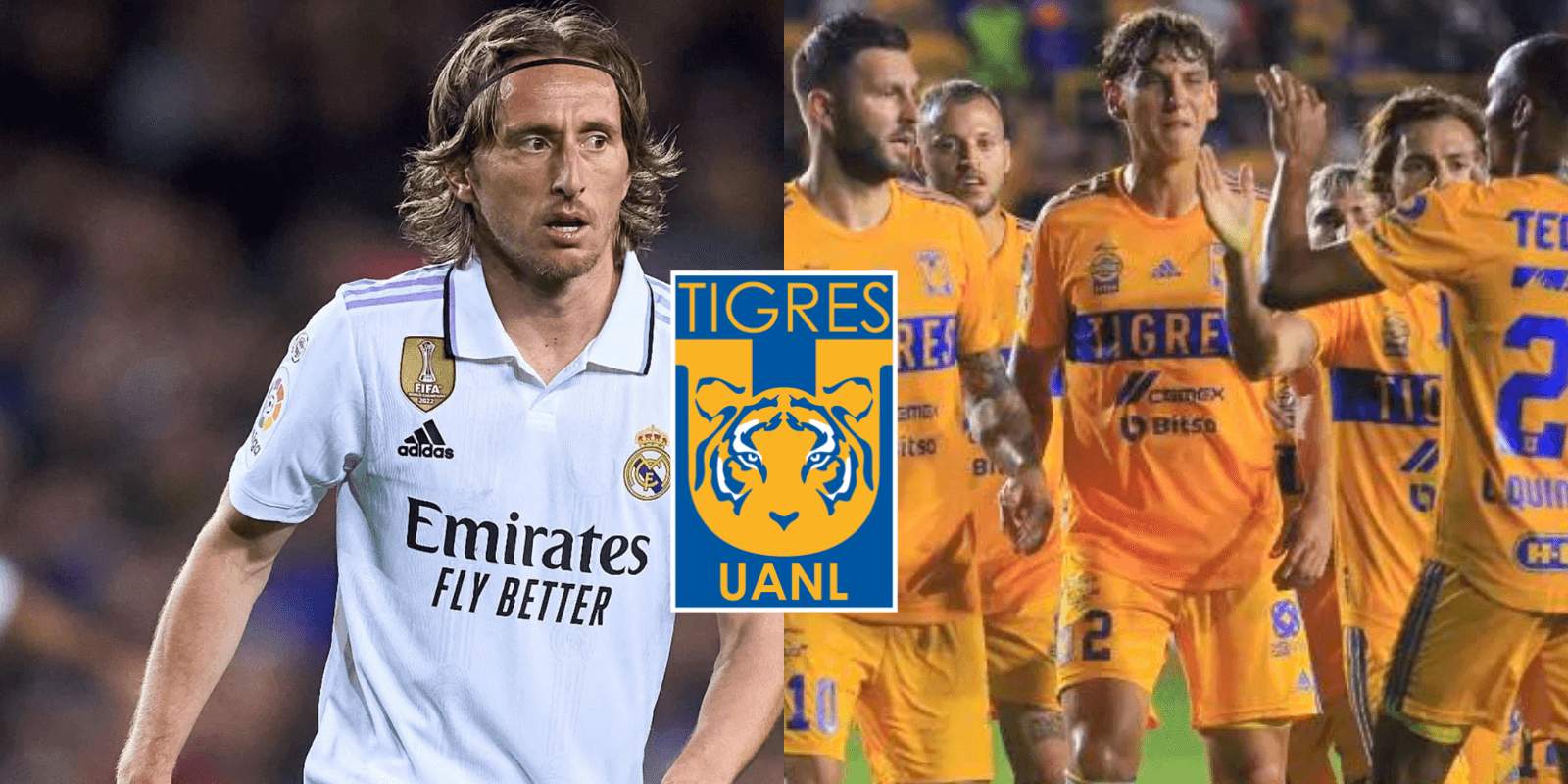 La manera en la que el reemplazo de Luka Modric en el Real Madrid podría llegar directamente desde Tigres