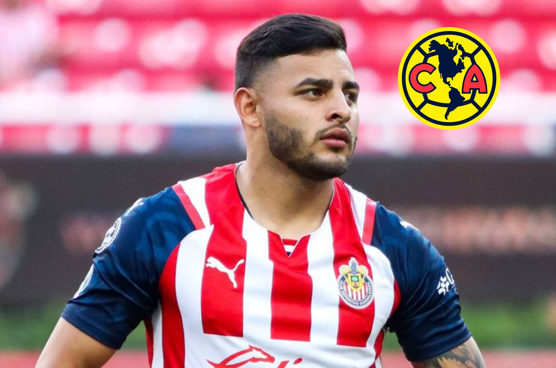 Las Chivas no han podido renovar a Alexis Vega y el culpable estaría en El Nido.